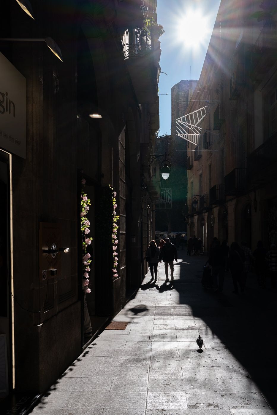 Narrow, shaded alley in the Gothic Quarter, Barcelona