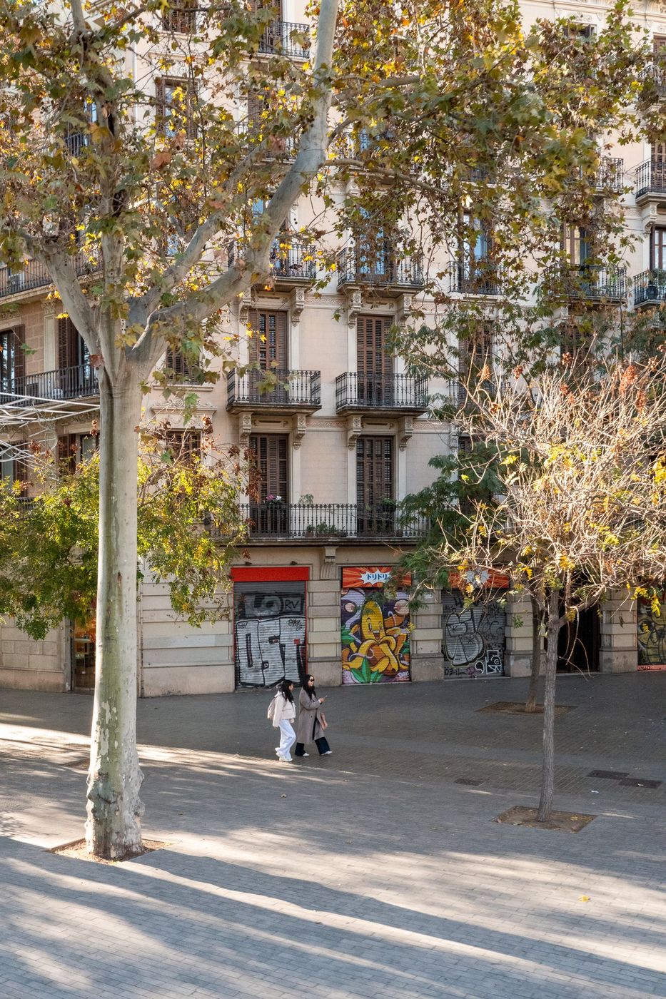 Row of trees along an avenue, Barcelona