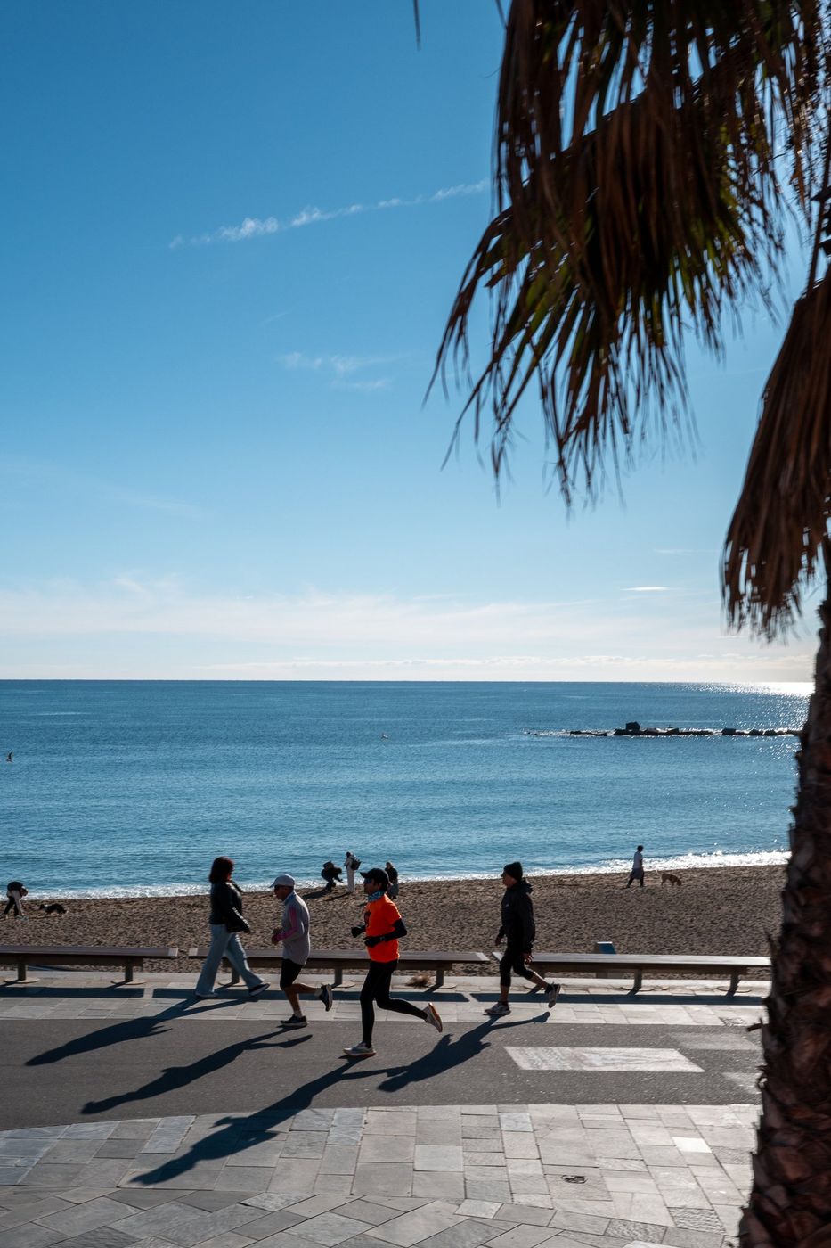 Barcelona beach with palm trees and sea