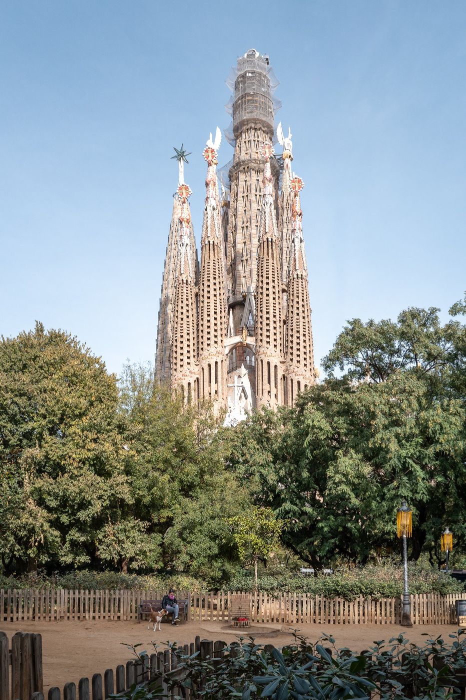Sagrada Familia tower above the trees, Barcelona