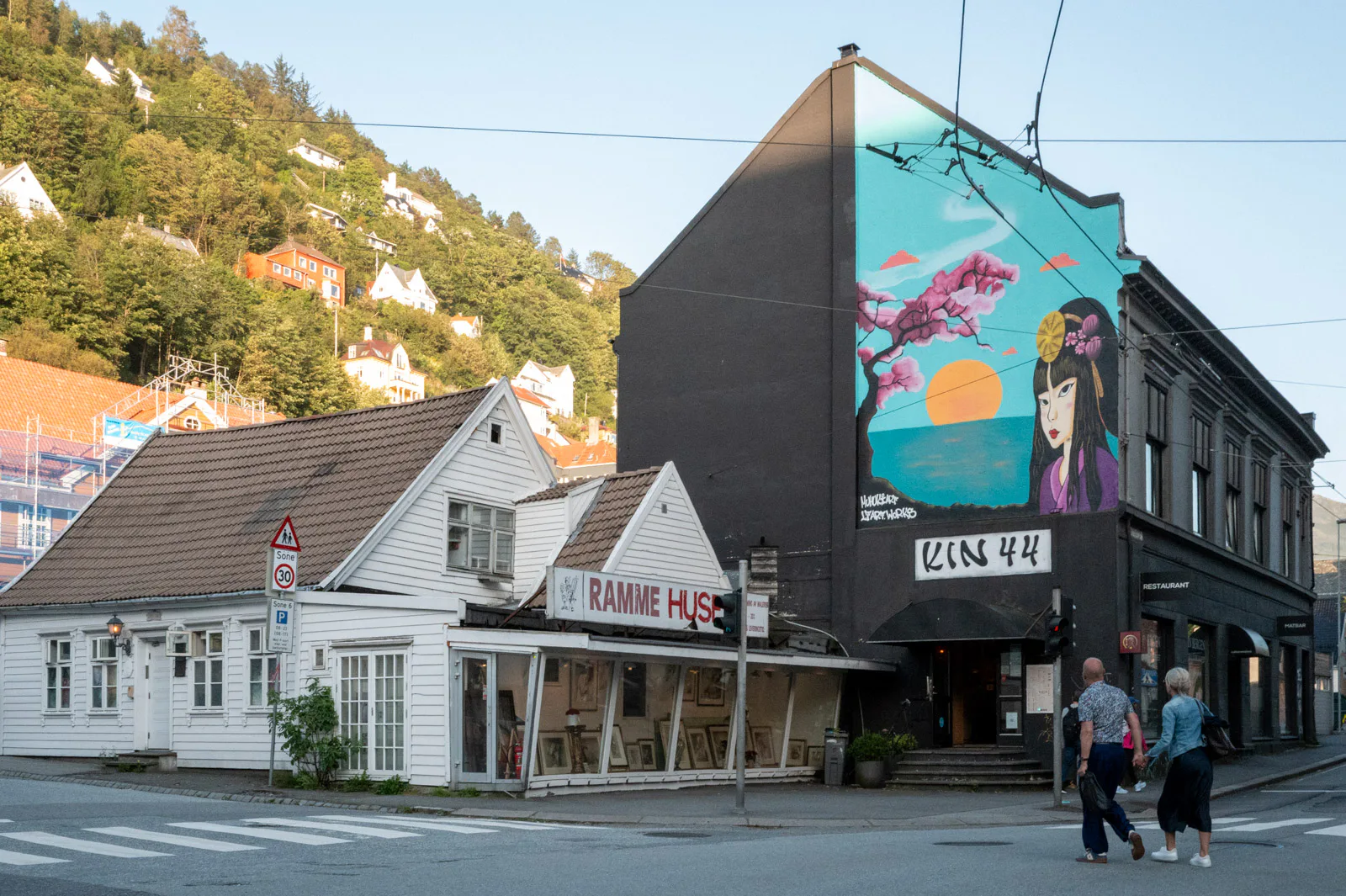 A mural of a young woman and cherry blossoms on a black gable, Bergen