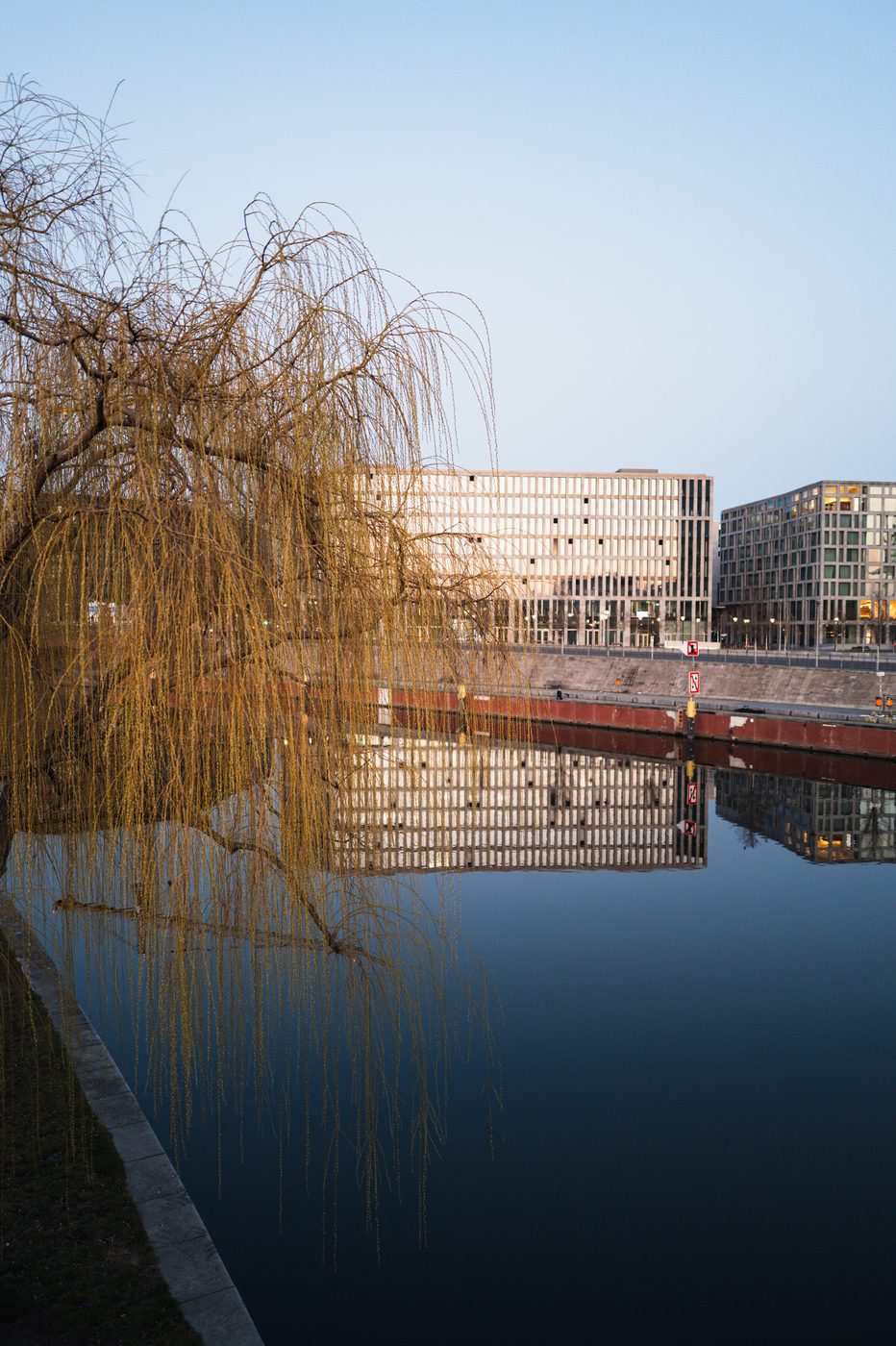 Golden weeping willow by the water facing modern buildings, Berlin
