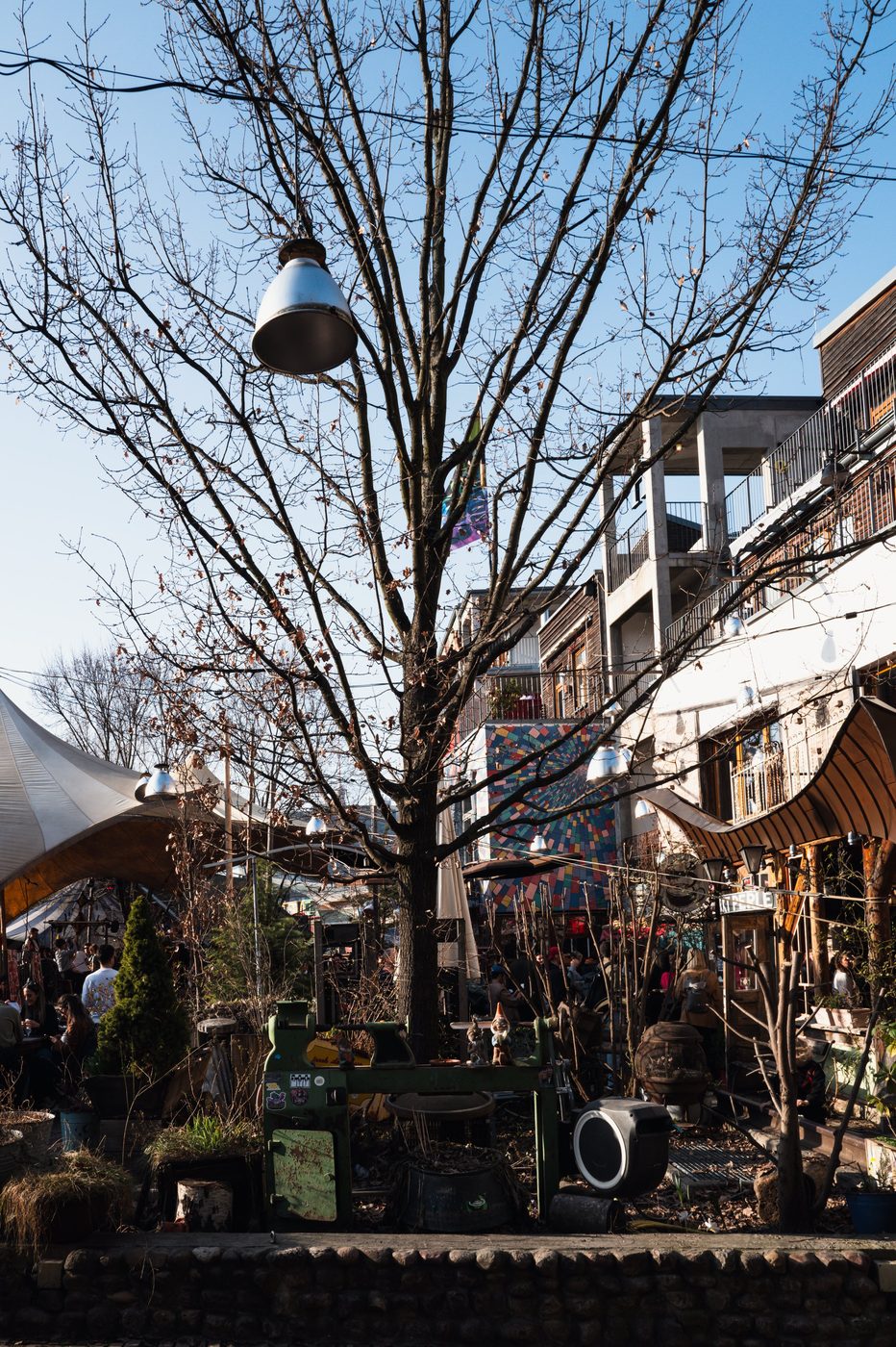 Bare tree and hanging streetlamp above a bustling flea market, Berlin