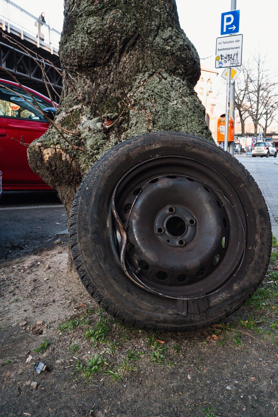 Worn car wheel wedged against a tree trunk, Berlin
