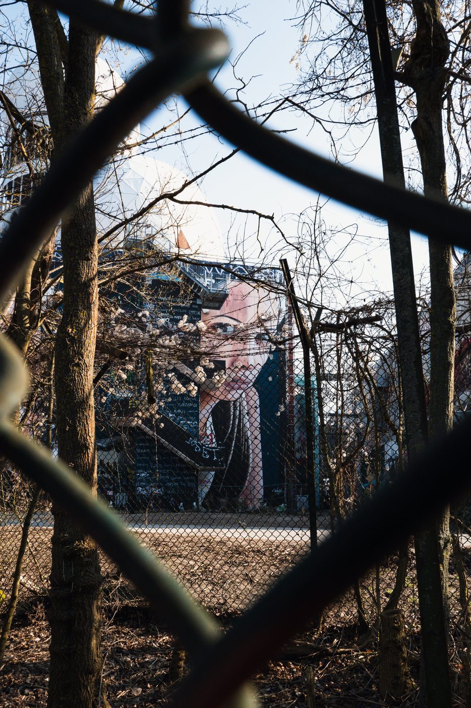 Female mural portrait glimpsed through a wire fence and bare branches, Berlin