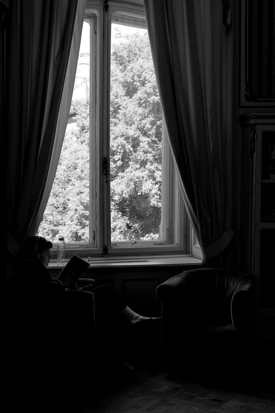 A woman reading backlit near a window open to the trees, Budapest