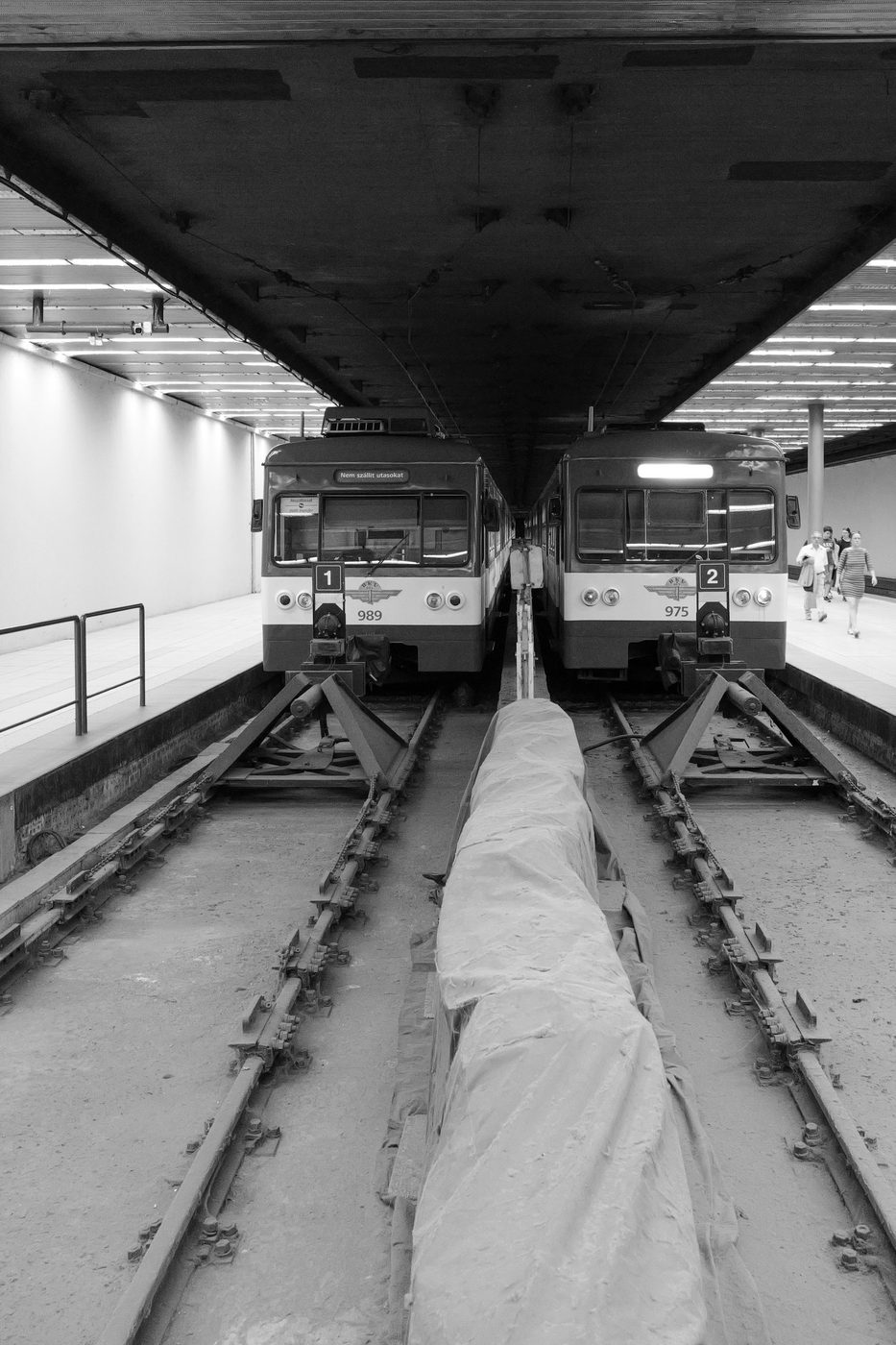 Two twin trains facing each other under a covered terminus, Budapest