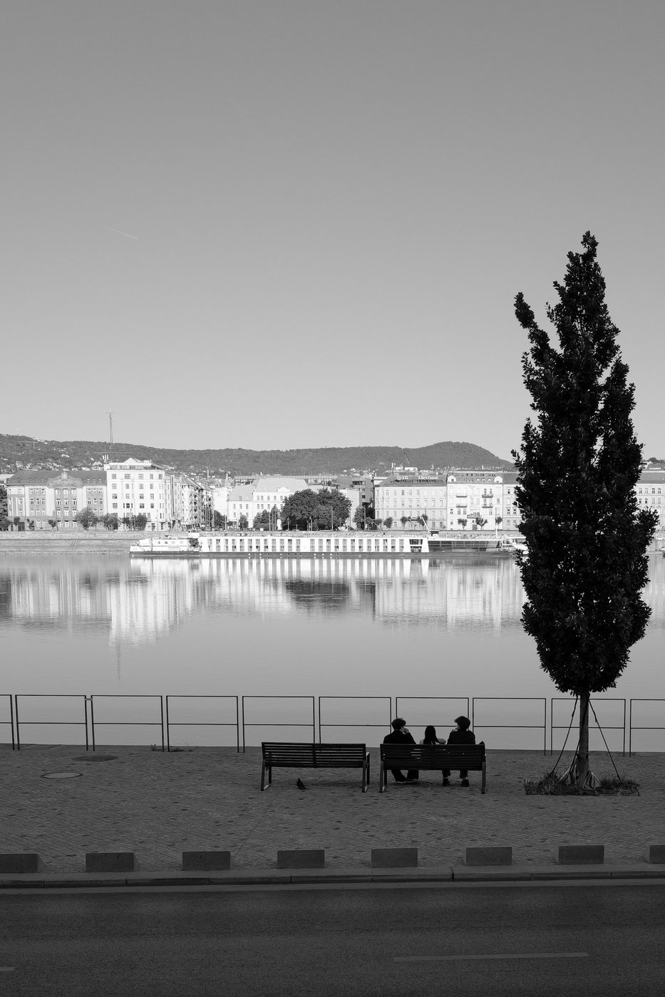 Three people sitting on a bench facing the Danube, a solitary tree, Budapest