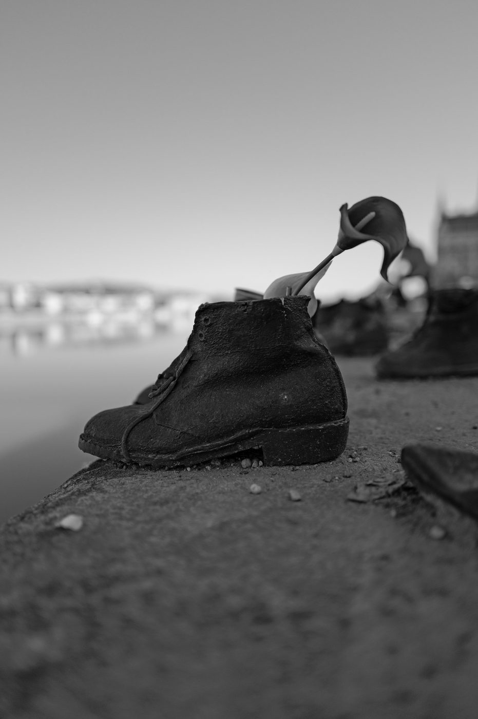 Bronze shoe of the memorial with a flower placed on it, bank of the Danube, Budapest