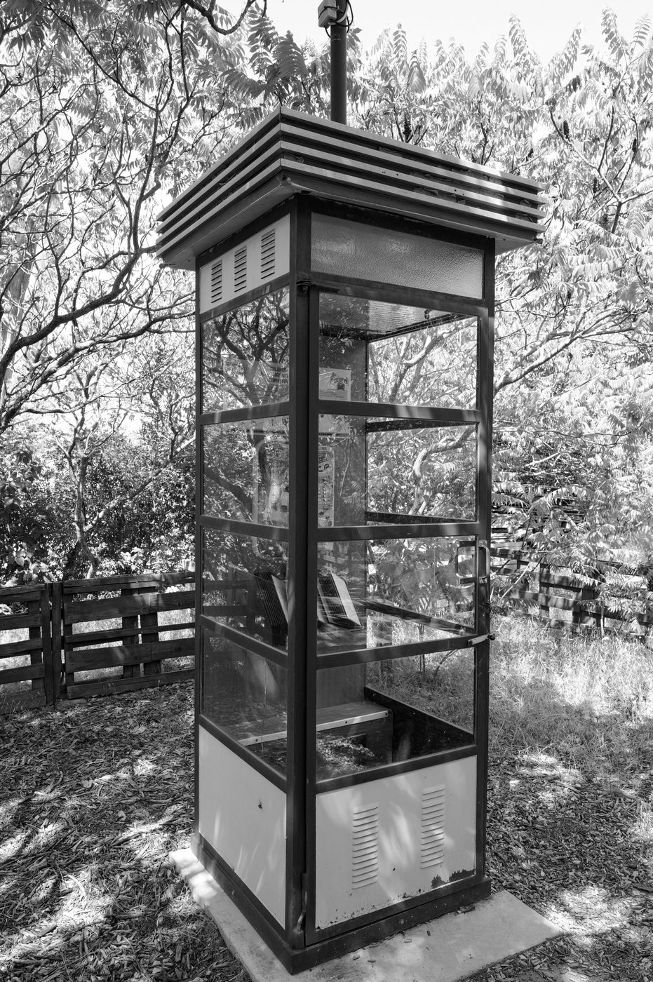 Old glazed phone booth abandoned among the trees, Budapest