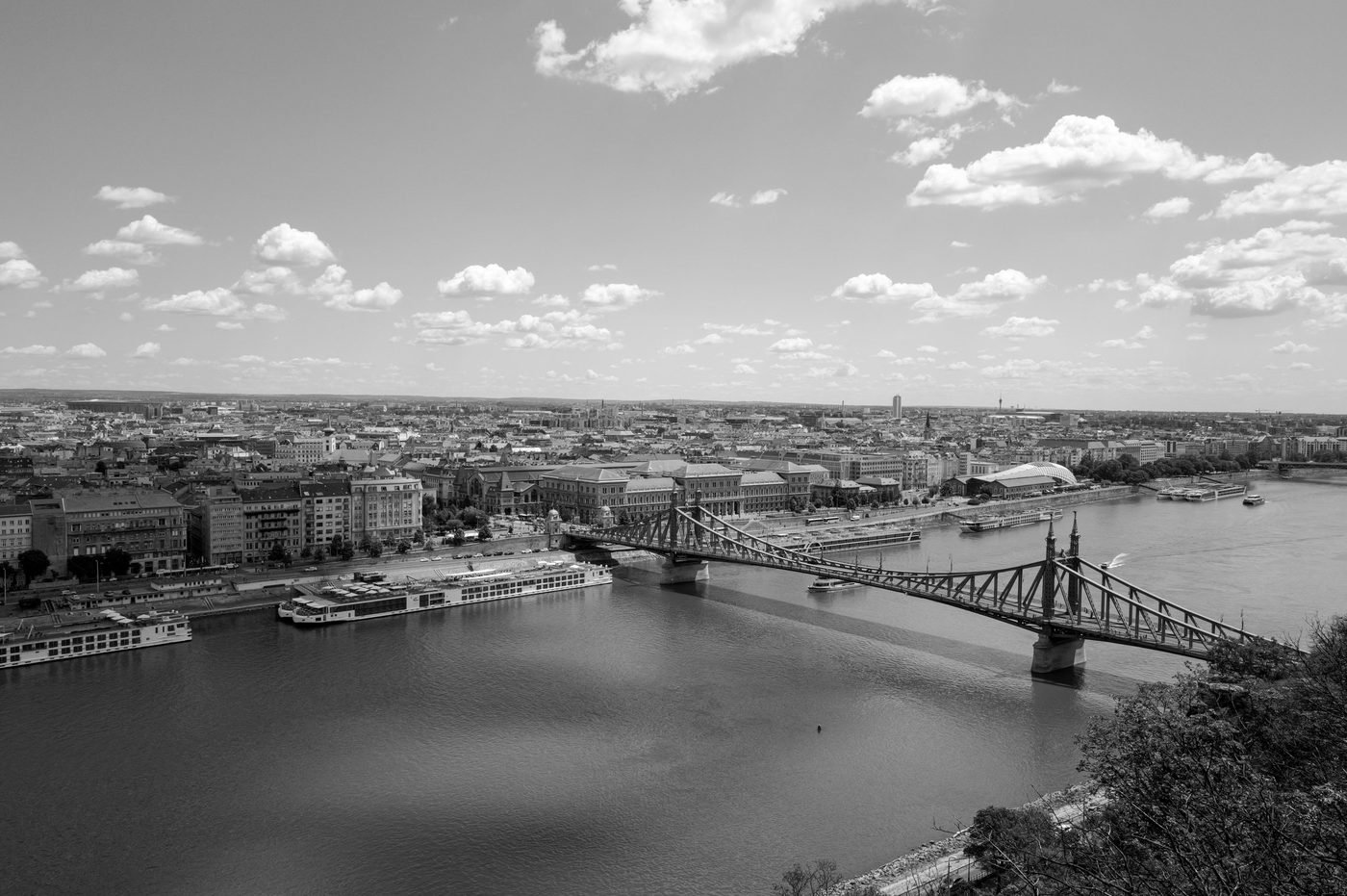 Aerial view of the Danube with Liberty Bridge connecting both banks, Budapest