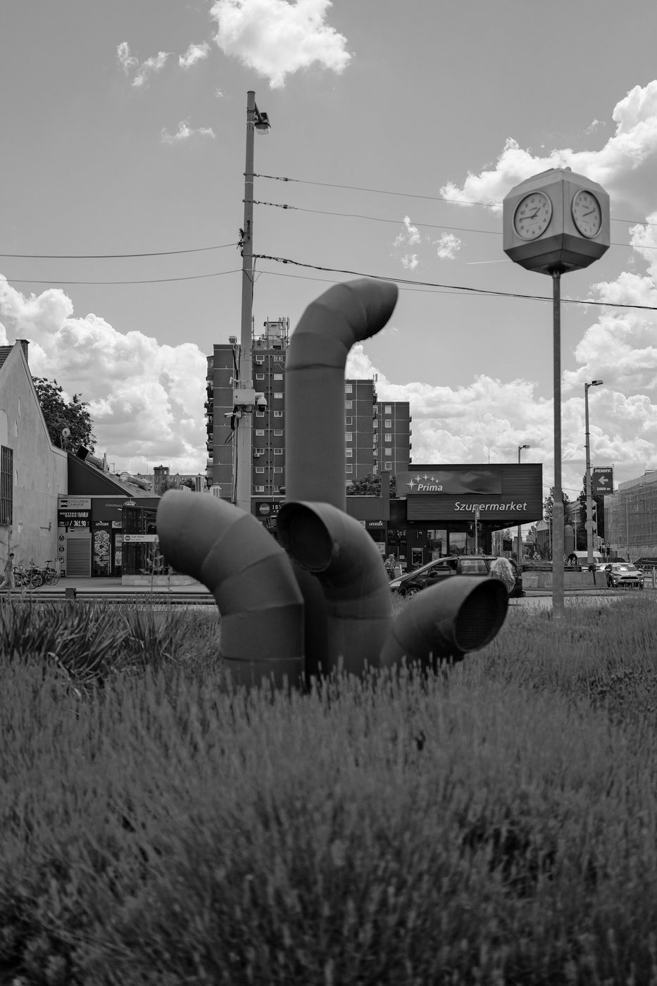 Sculpture of twisted pipes emerging from a lavender bed, clock in the background, Budapest