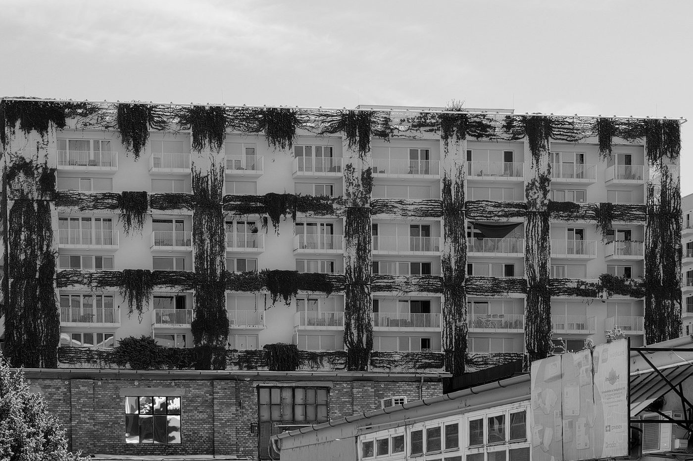 Building facade entirely covered by a curtain of climbing plants, Budapest