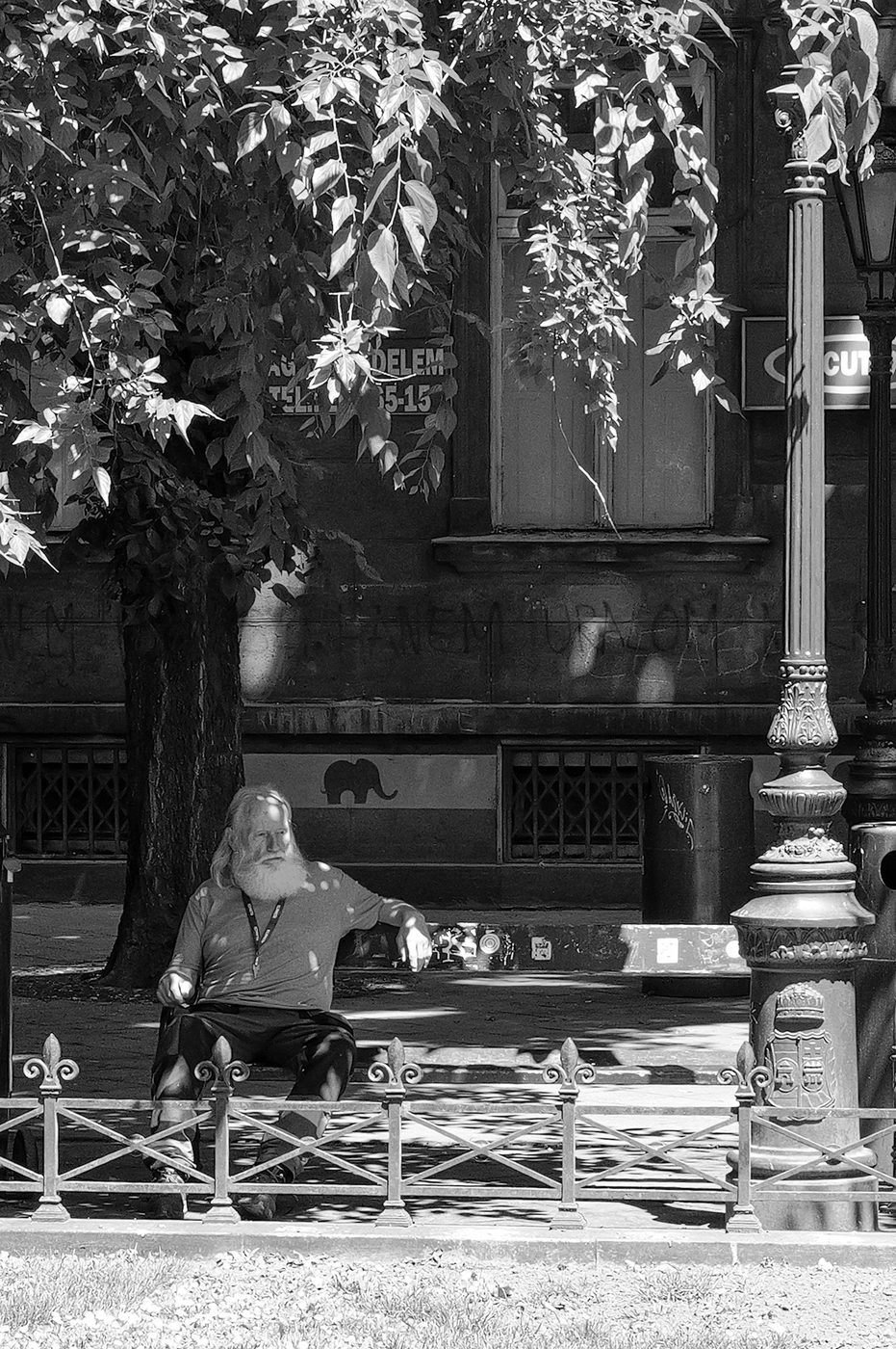 A bearded man sitting on a bench near a tree trunk, Budapest