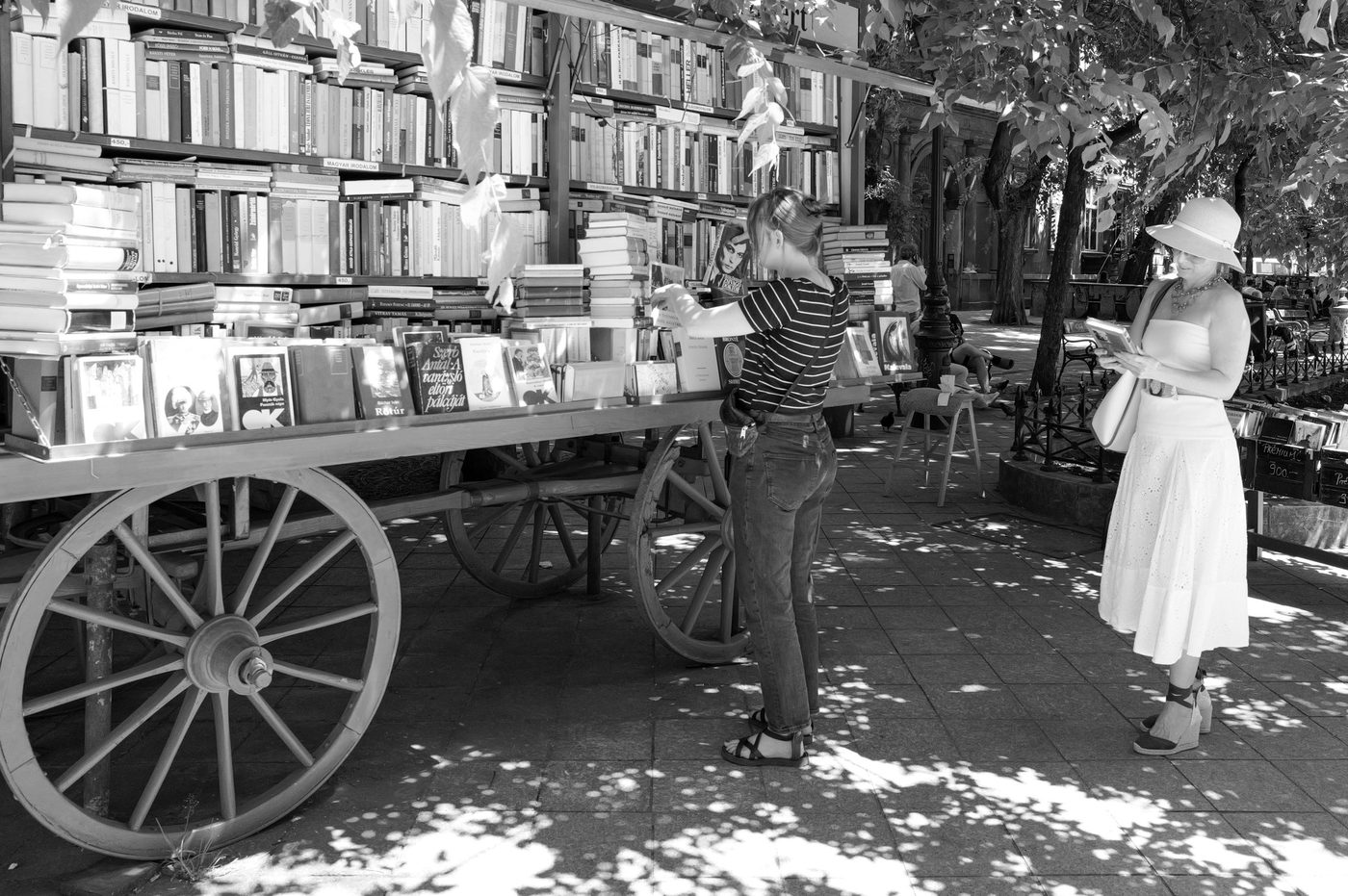 Two women choosing books at a shaded street book stall, Budapest