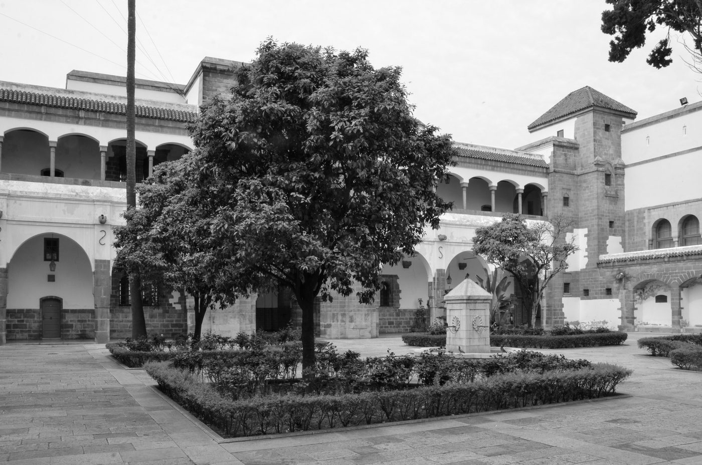 Imposing tree at the center of a courtyard adorned with a fountain, Casablanca