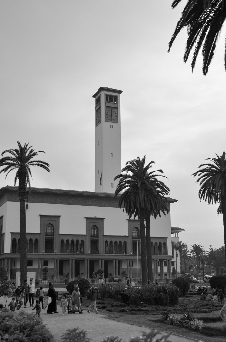Clock tower rising above the palm trees of the square, Casablanca