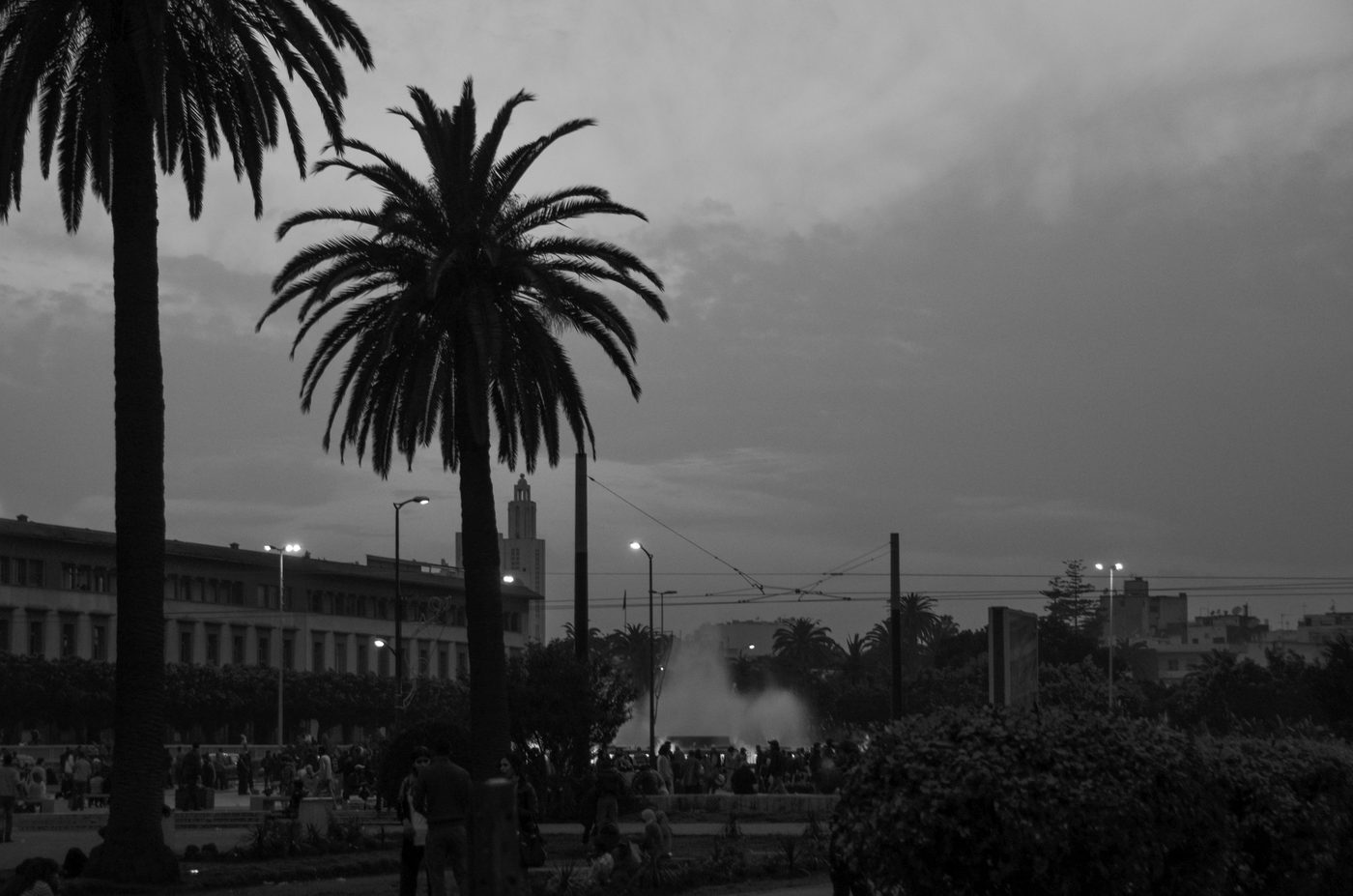 Palm trees silhouetted against an illuminated fountain at twilight, Casablanca
