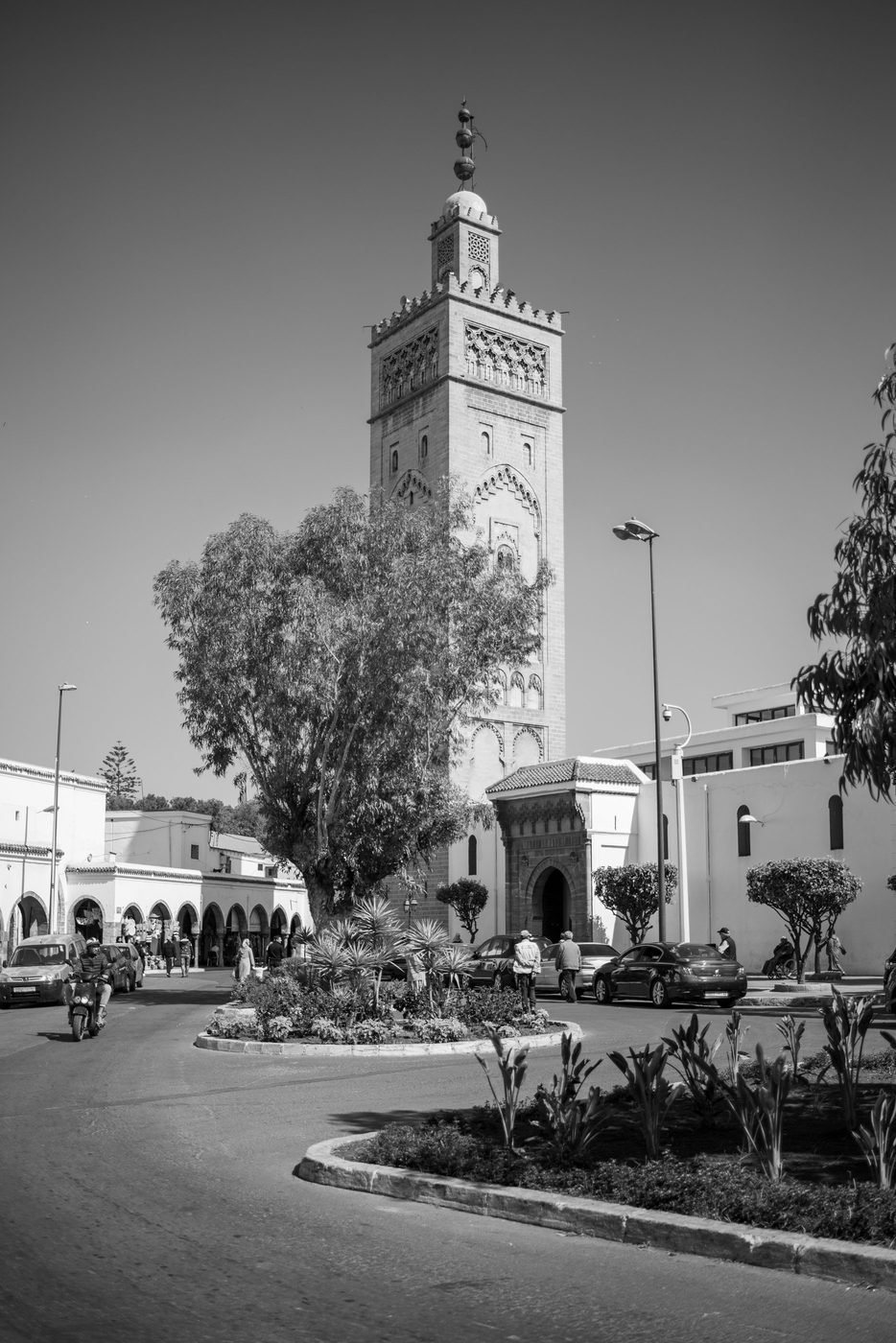 Minaret rising behind a large tree in the middle of the street, Casablanca