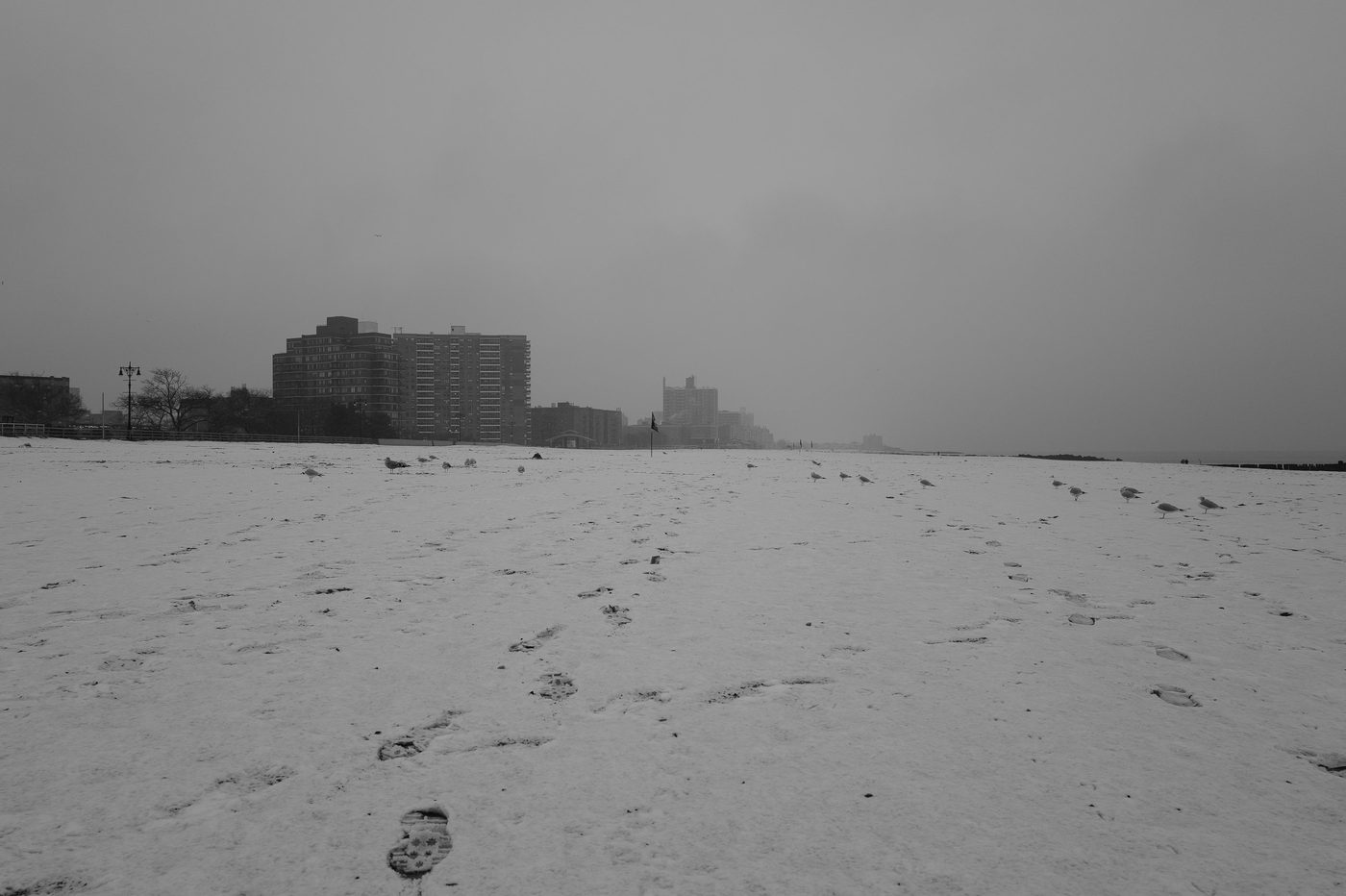 Footprints and seagulls on the snow-covered beach, Coney Island