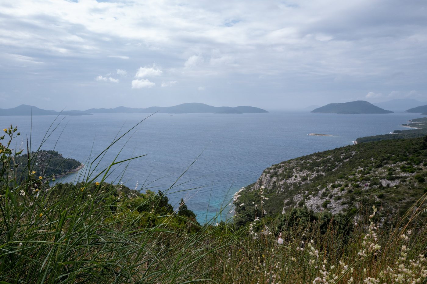 Tall grass in the foreground facing the bay and islands, Dubrovnik