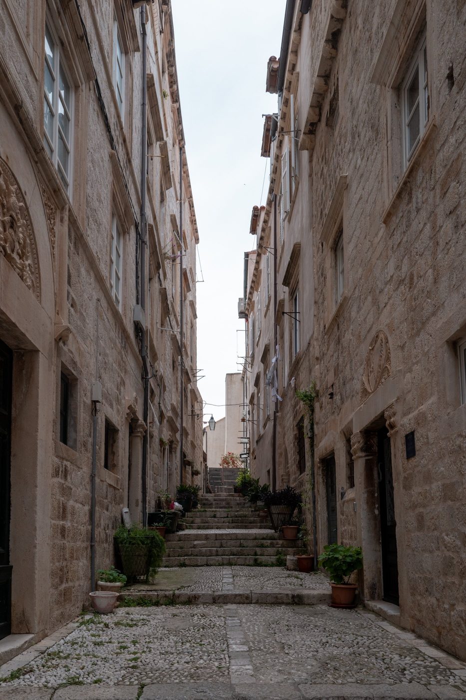 Cobbled stepped alley lined with potted plants, Dubrovnik