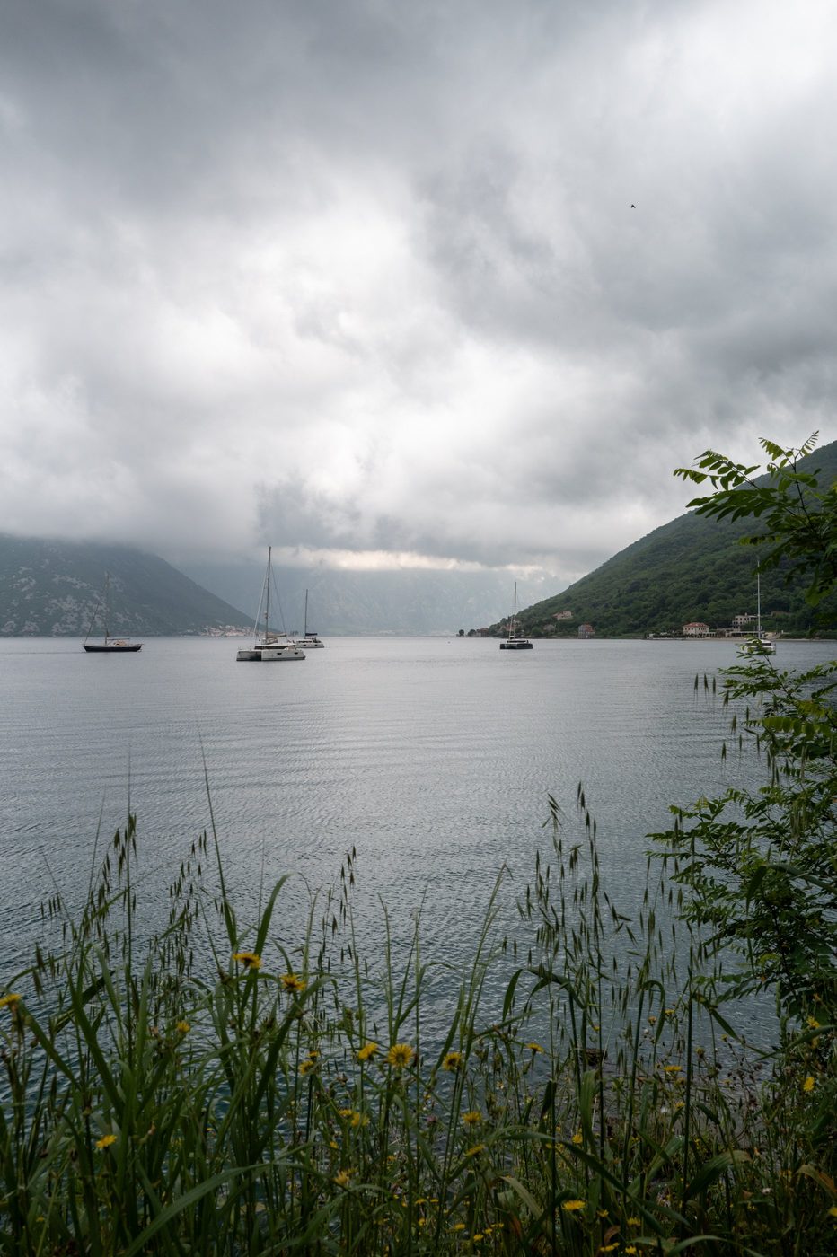 Sailboats anchored in the bay framed by tall grass, Dubrovnik