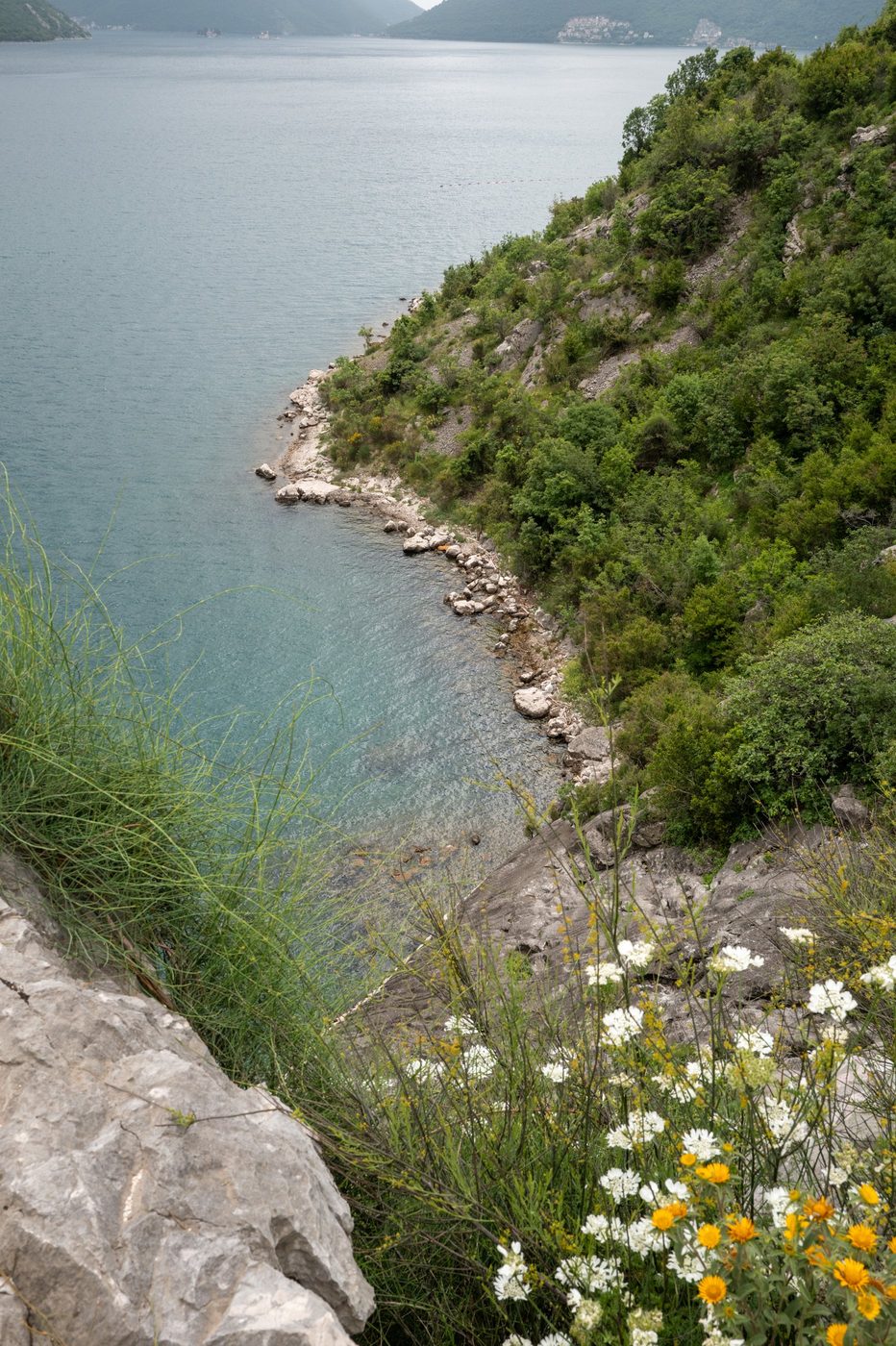 Rocky coastline and dense vegetation dropping toward turquoise water, Dubrovnik