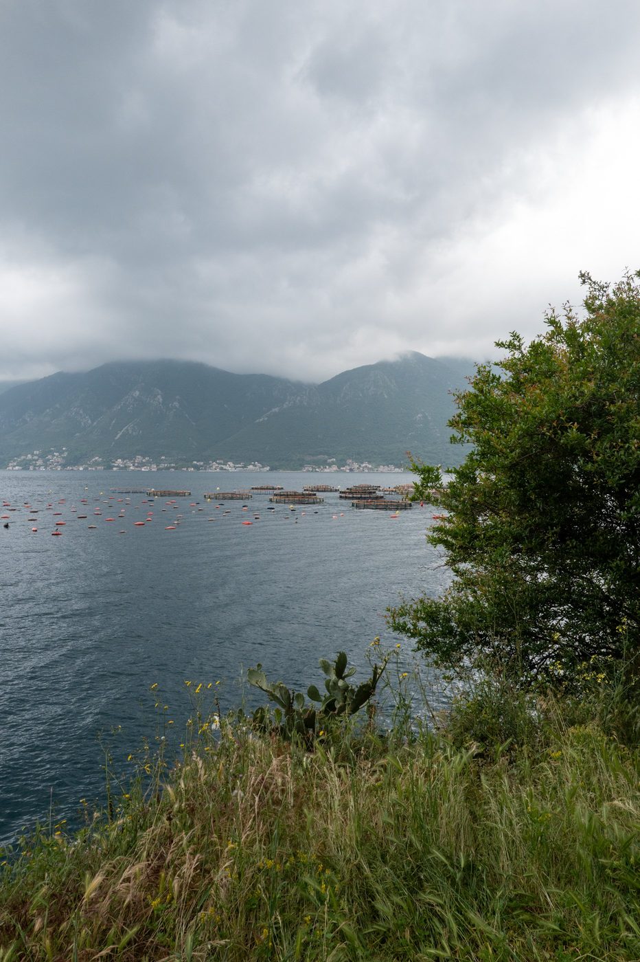 Floating mussel farming basins on a bay ringed by mountains, Dubrovnik