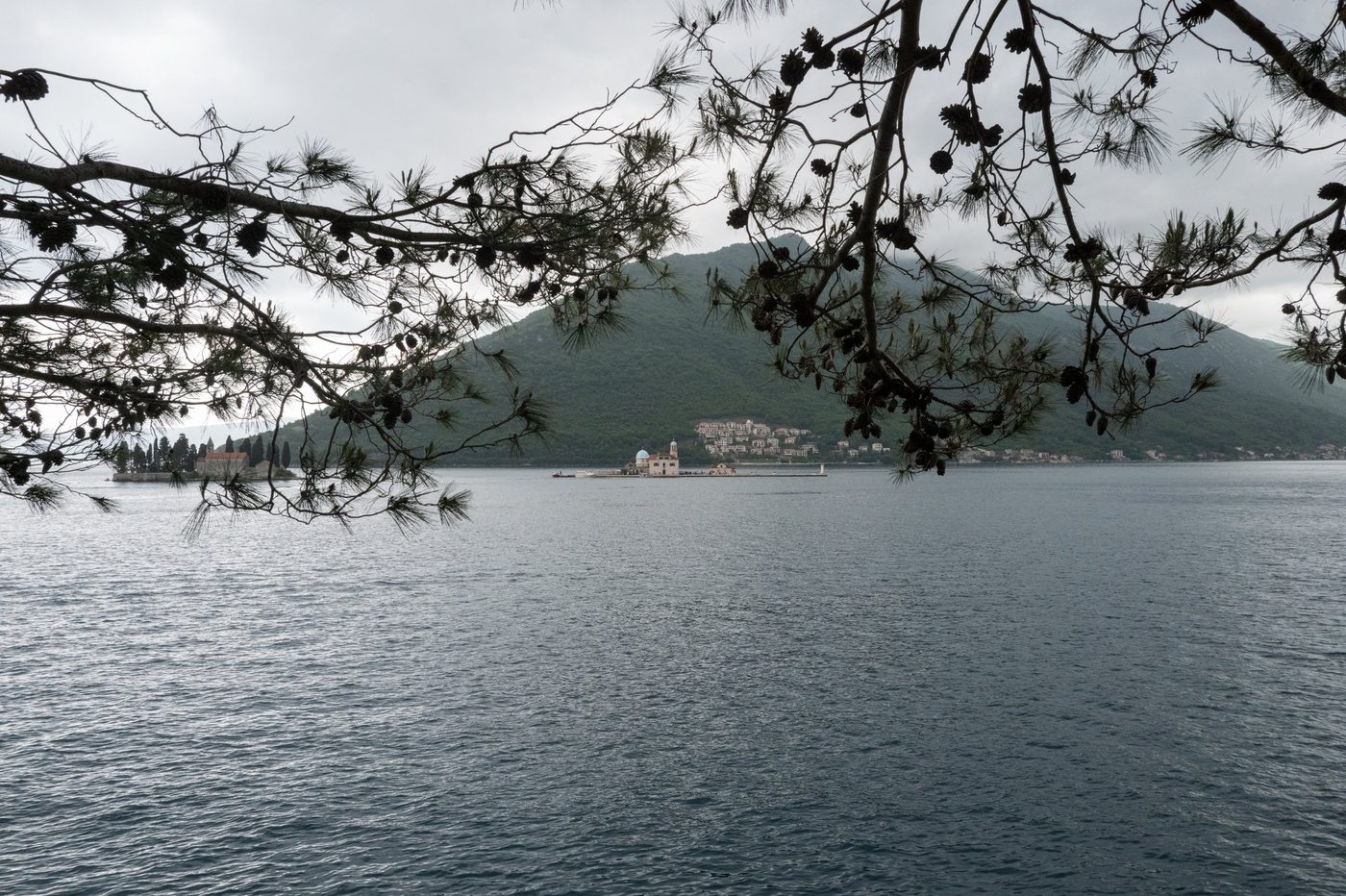 Cypress-covered islet framed by pine branches, Dubrovnik