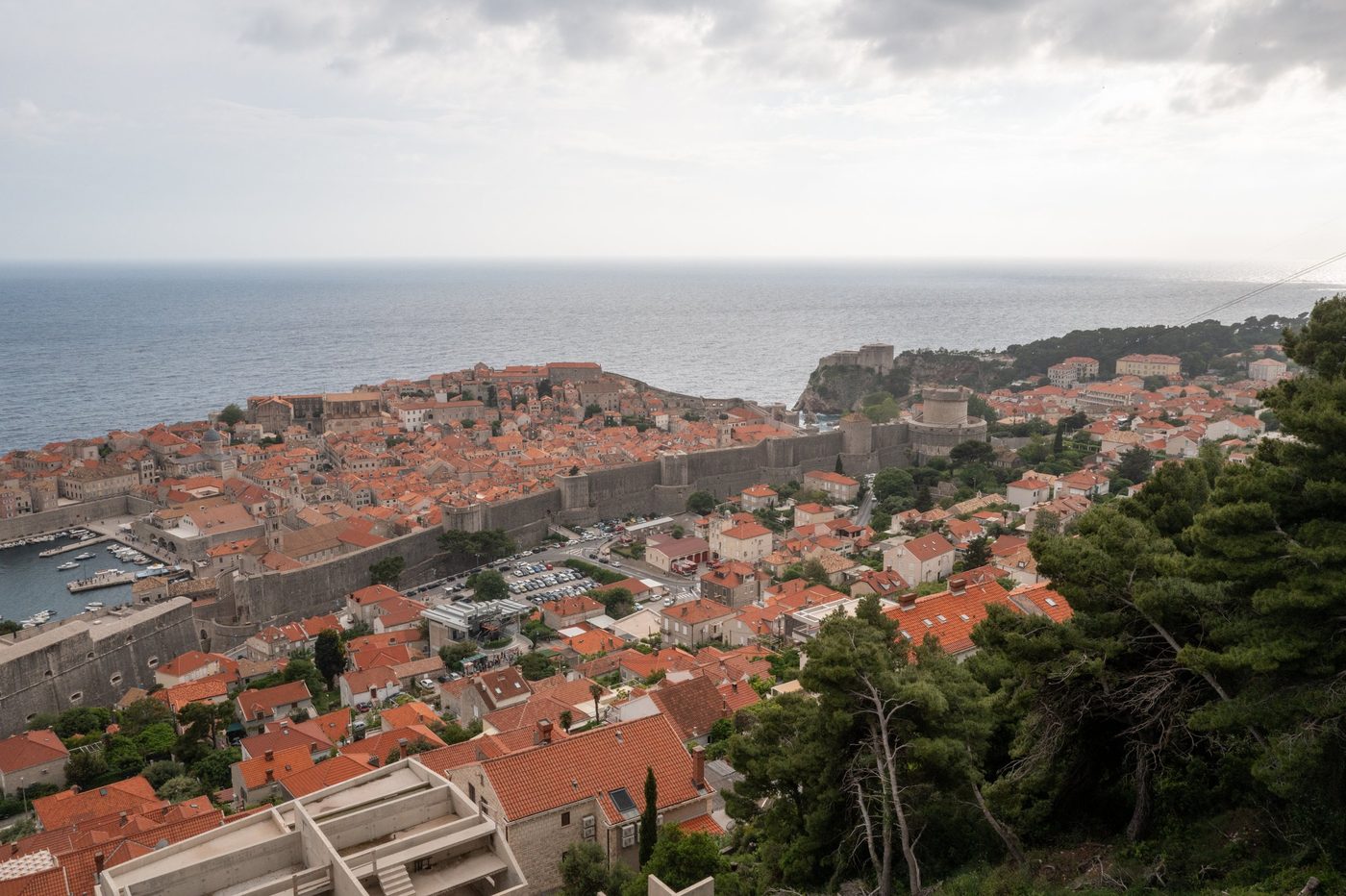 Aerial view of the fortified old town between the sea and wooded hills, Dubrovnik