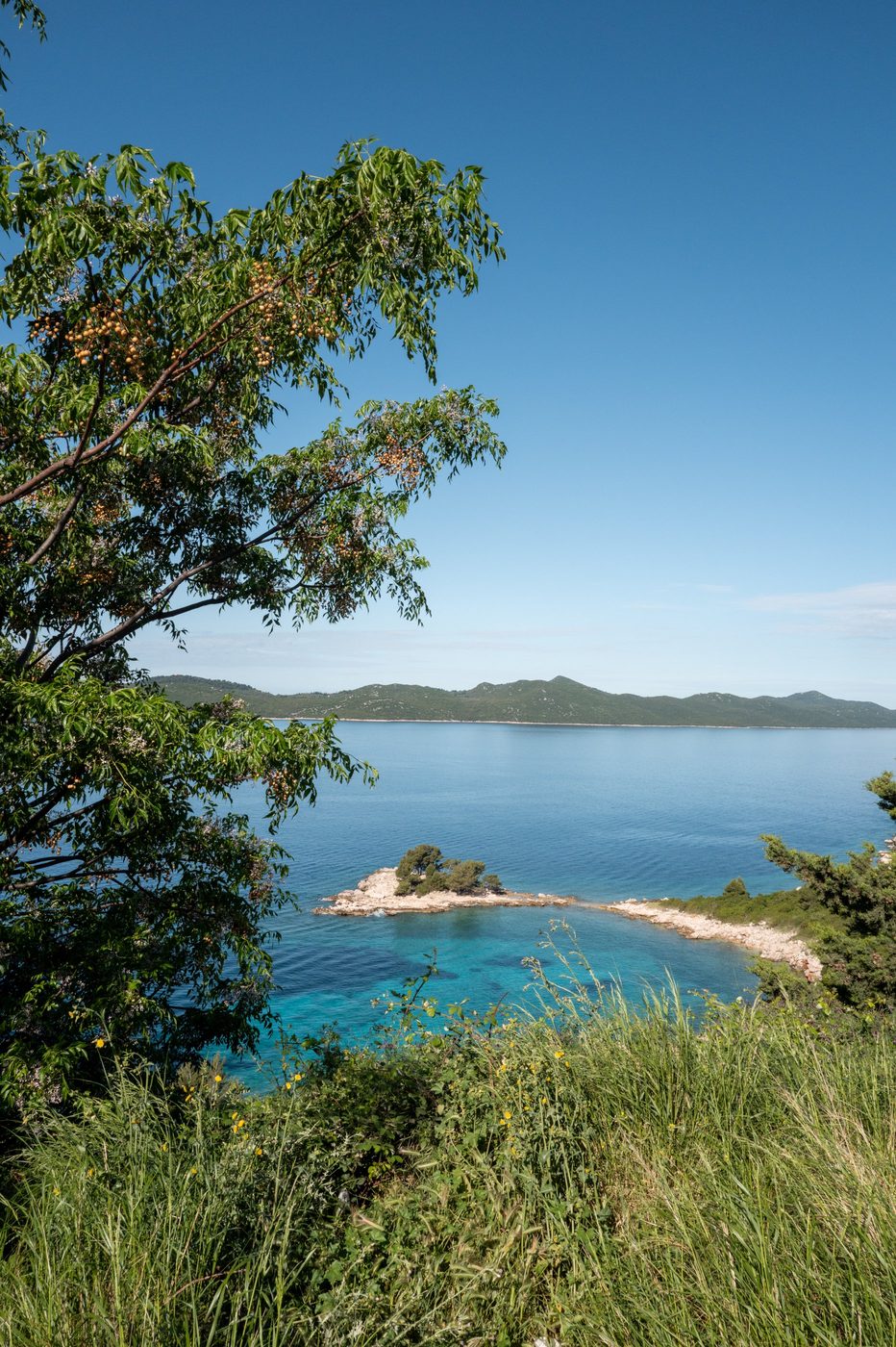 Lush green islet nestled in a cove with turquoise waters, Dubrovnik