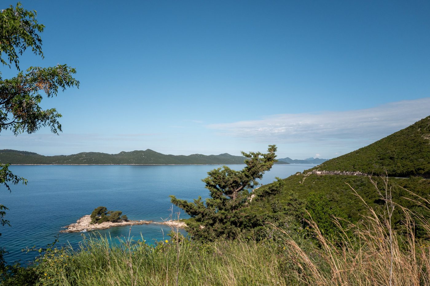 Lone pine leaning over a crystal-clear cove, Dubrovnik