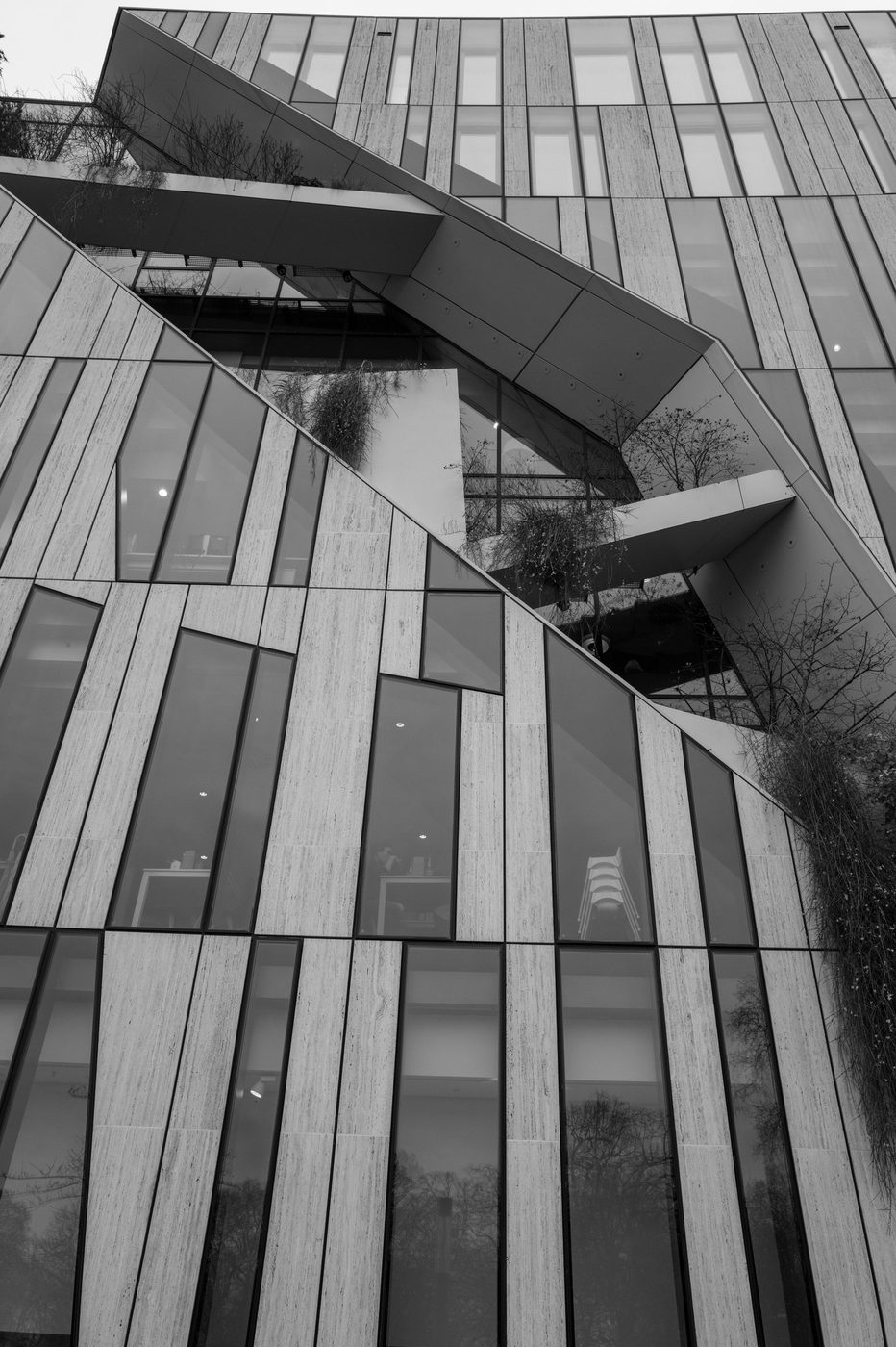 Stone facade with oblique angles and plant reflections, Düsseldorf