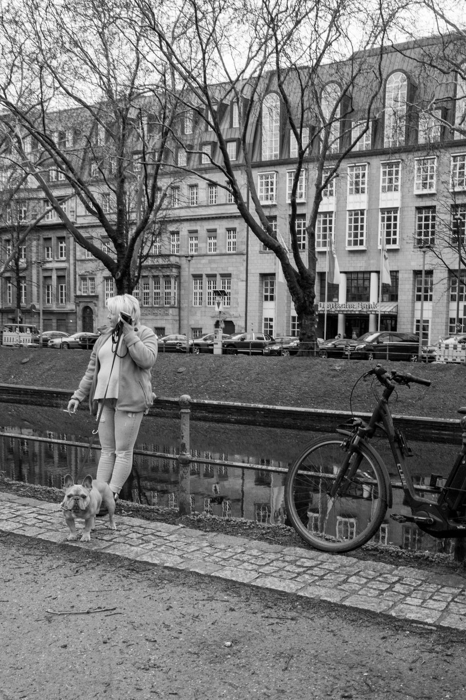 A woman on the phone walking a French bulldog along a canal, Düsseldorf