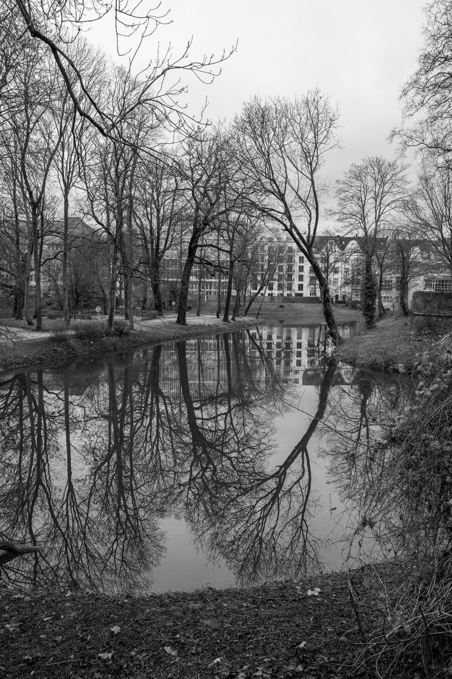Symmetrical reflection of bare trees and buildings in a calm canal, Düsseldorf