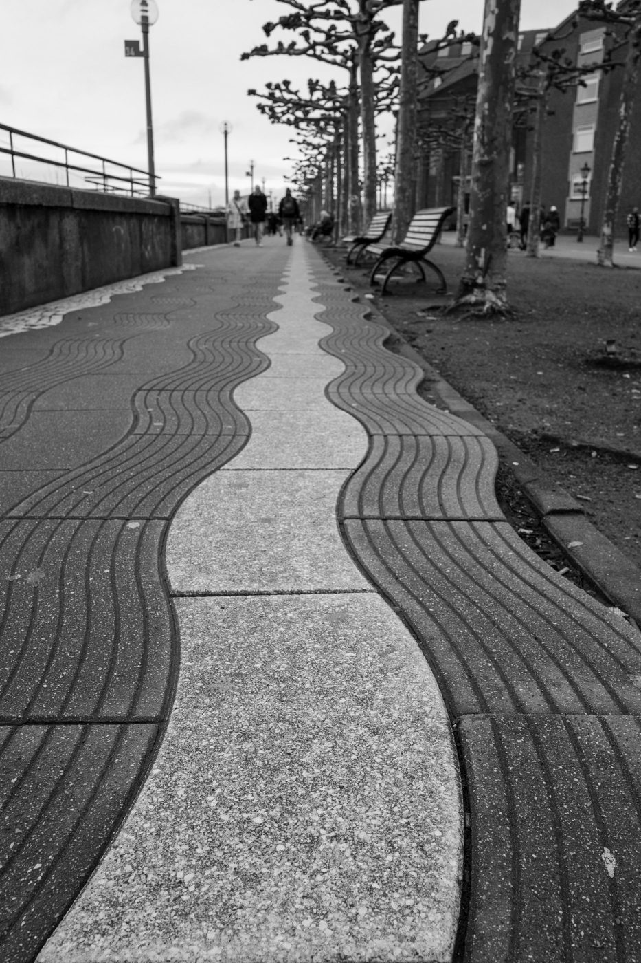 Paved promenade with wavy patterns lined with benches and pruned trees, Düsseldorf