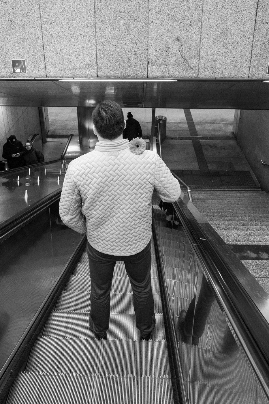 A man seen from behind with a flower on the back of his coat, on an escalator, Düsseldorf