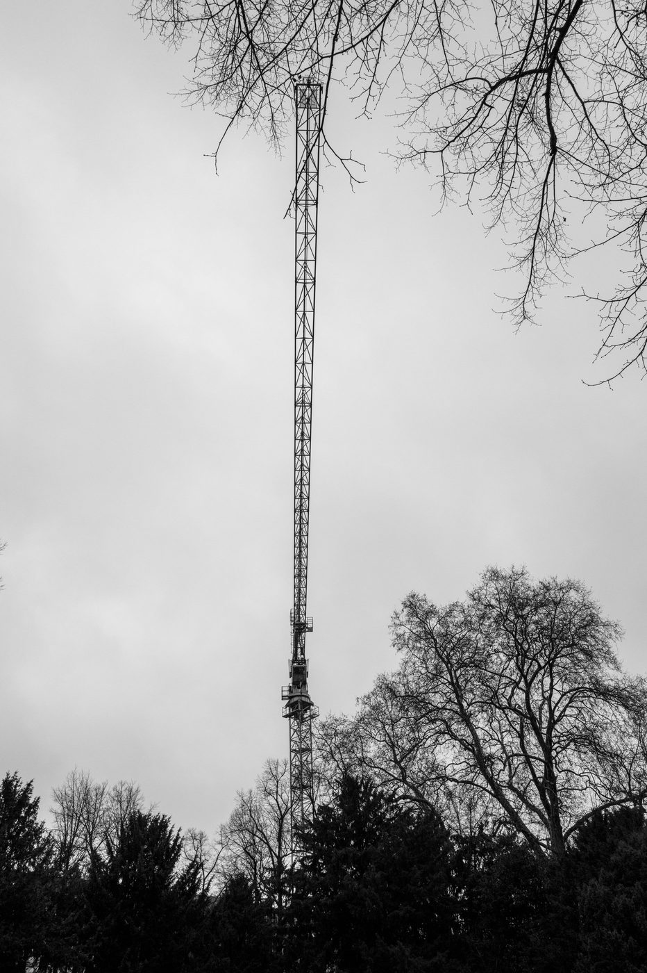 Slender metal pylon rising above the branches of bare trees, Düsseldorf
