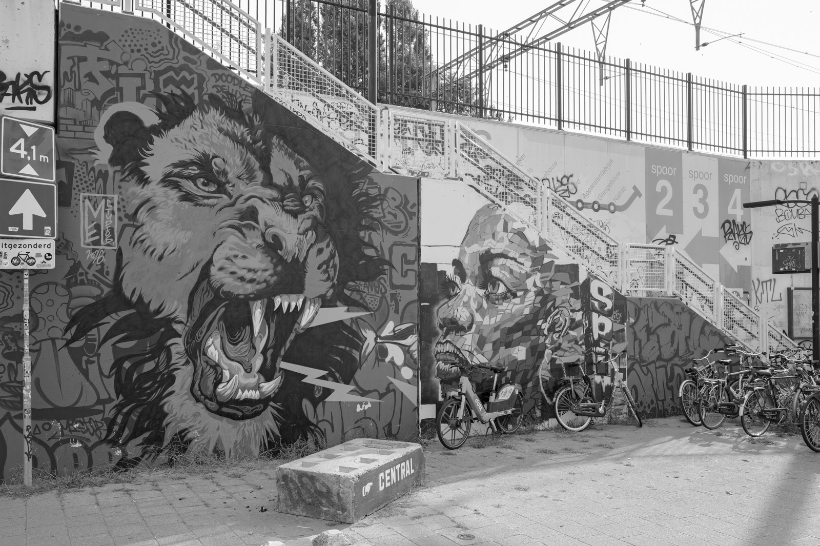 Fresque murale representant un lion rugissant, passage souterrain, Eindhoven
