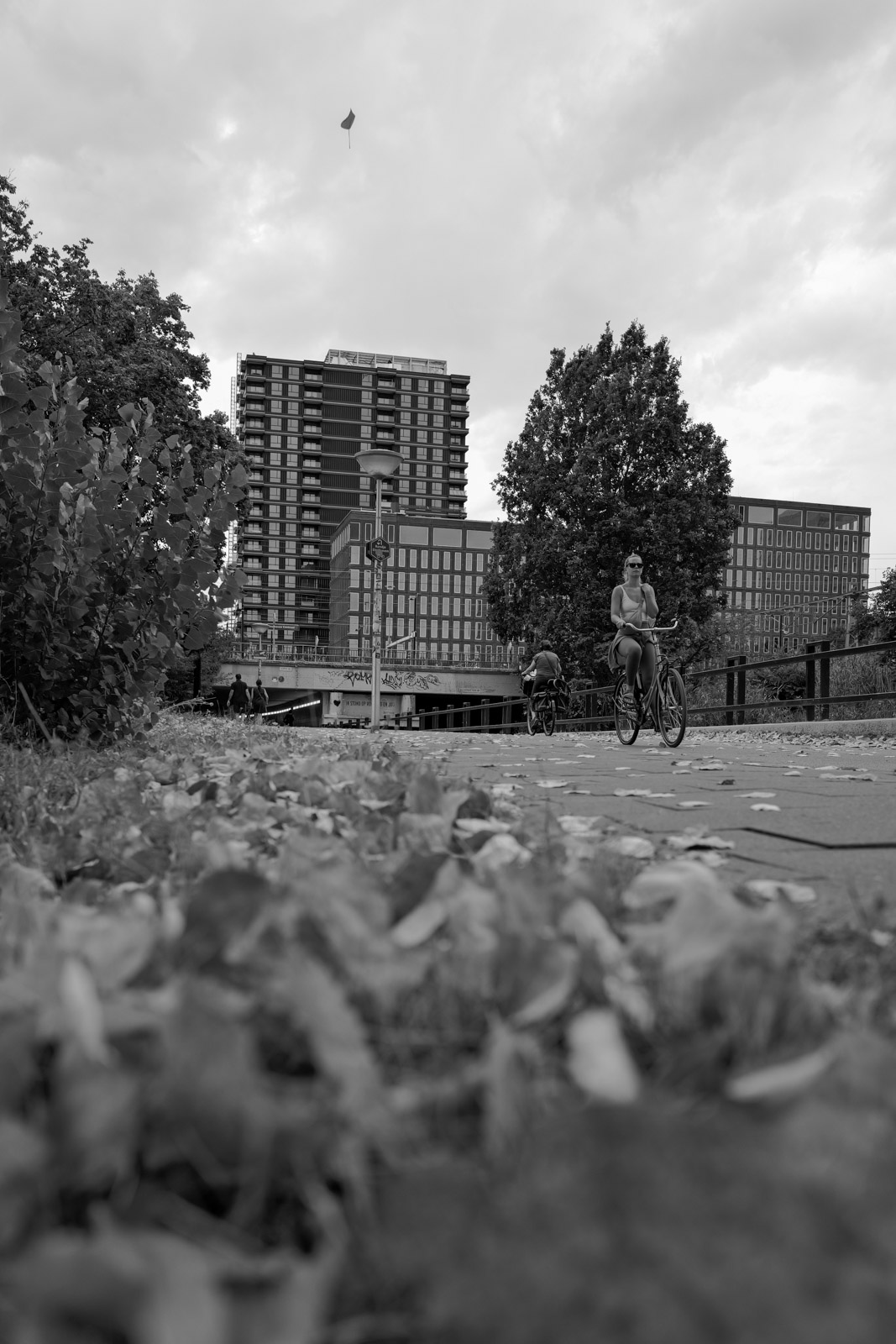 Parc verdoyant avec tours residentielles en arriere-plan, Eindhoven