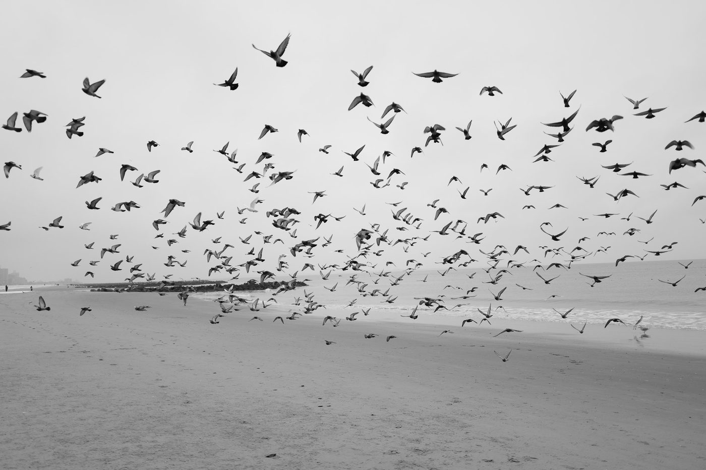 Life scene at Coney Island, New York (photo 023)