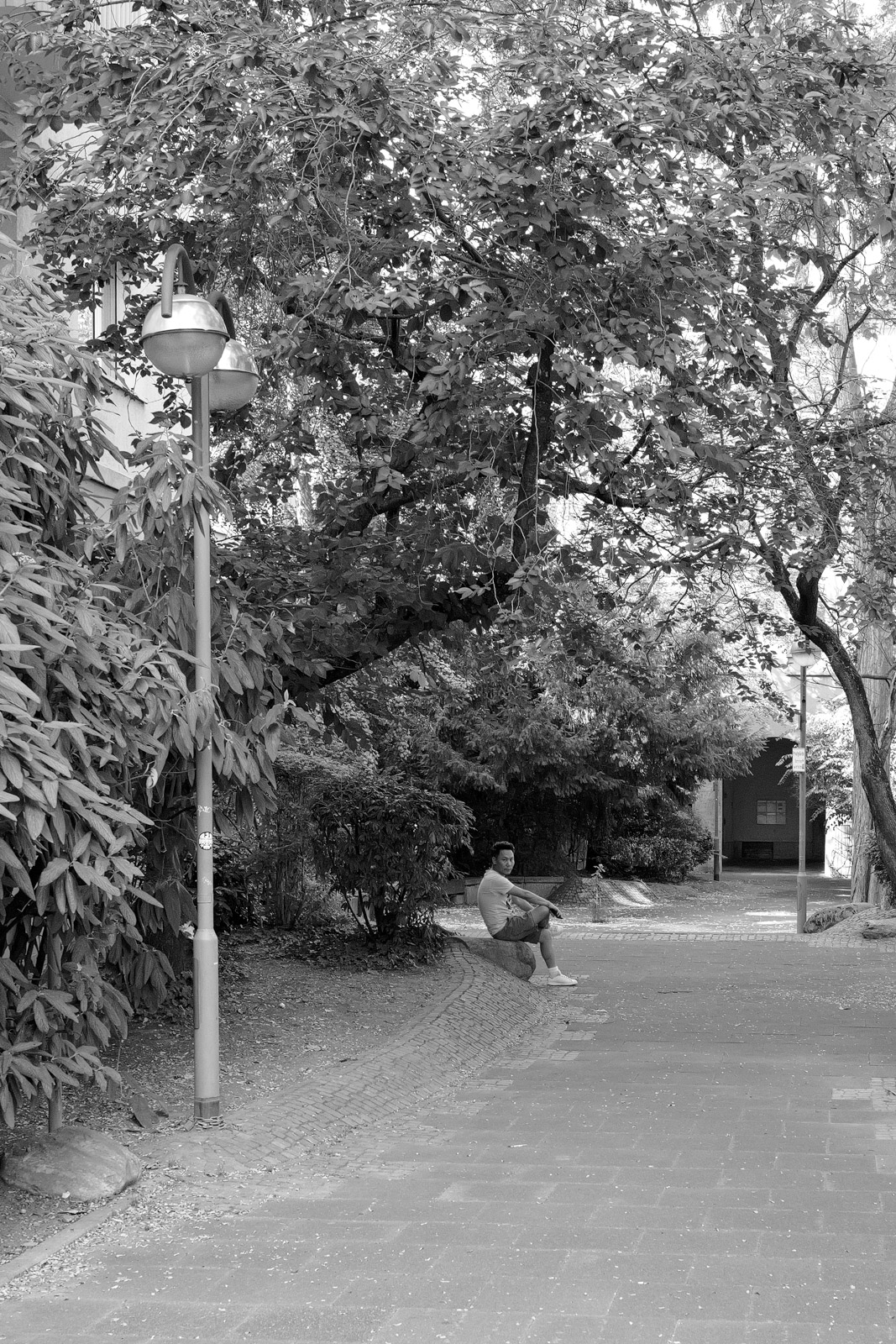 Allee de parc bordee d'arbres et de lampadaires, Francfort