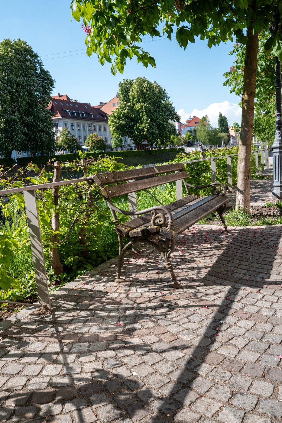 Wooden bench under branches by the riverside, Ljubljana