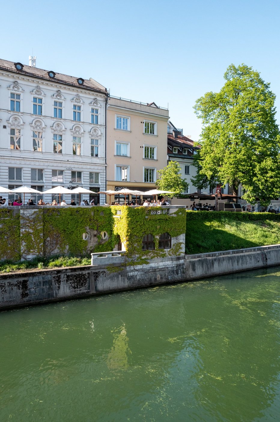 Ivy-covered facade beside the lush green canal, Ljubljana