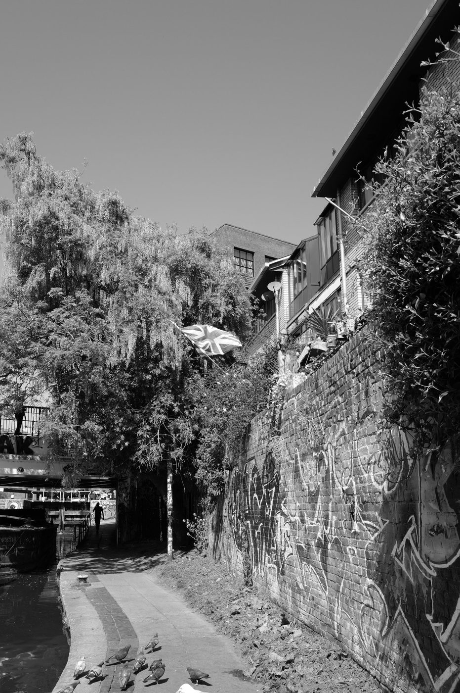 Graffiti-covered towpath along the canal, British flag among the foliage, London