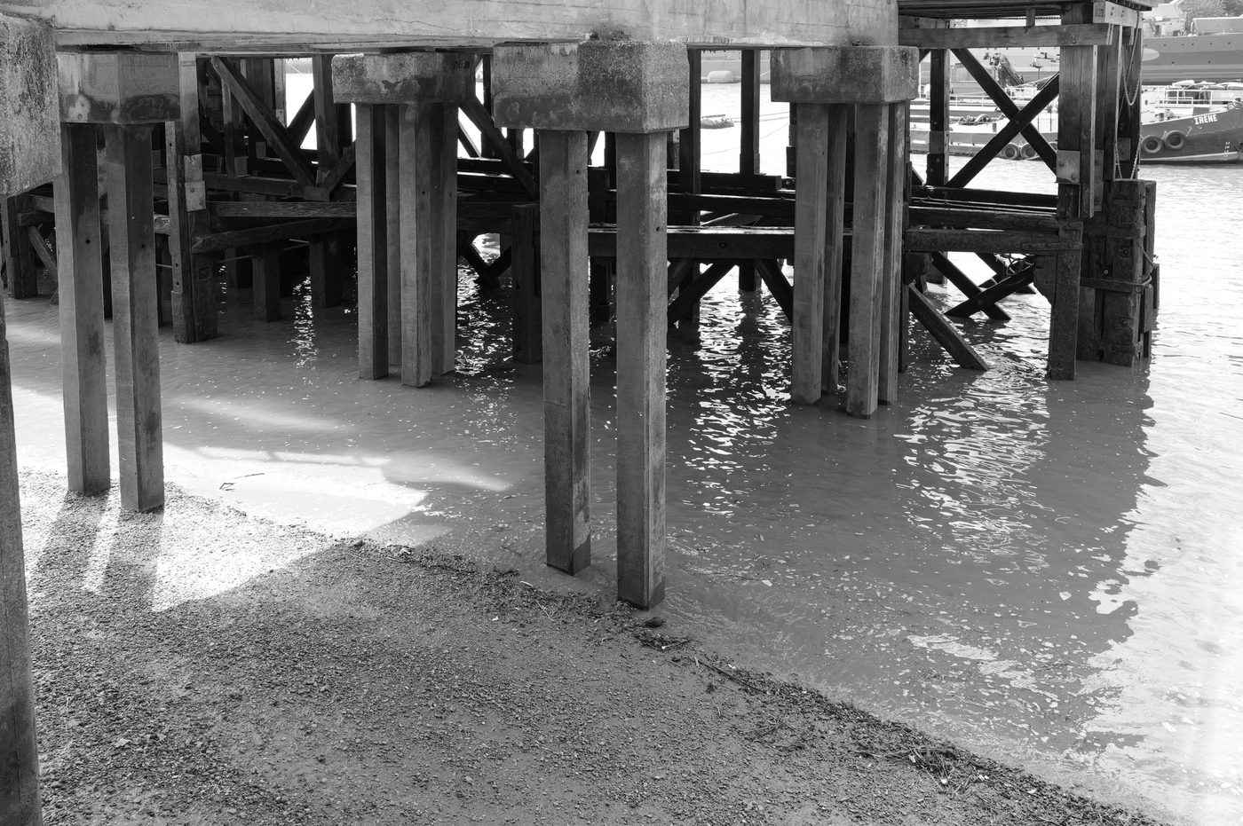 Wooden piles under a jetty, muddy Thames foreshore at low tide, London