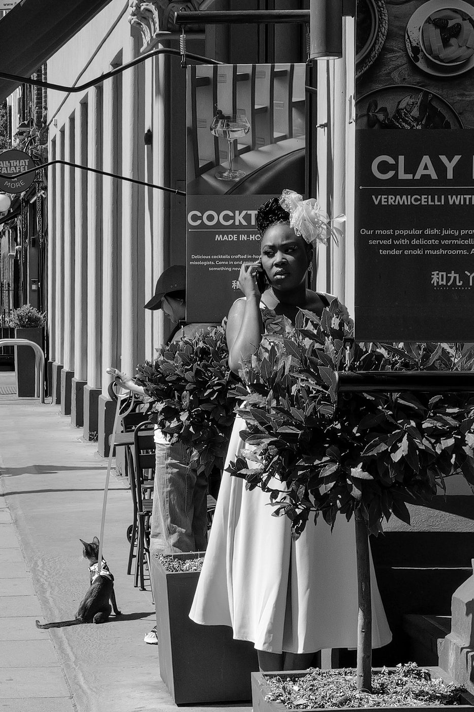 Woman in a white dress on the phone, small cat on a leash at her feet, London