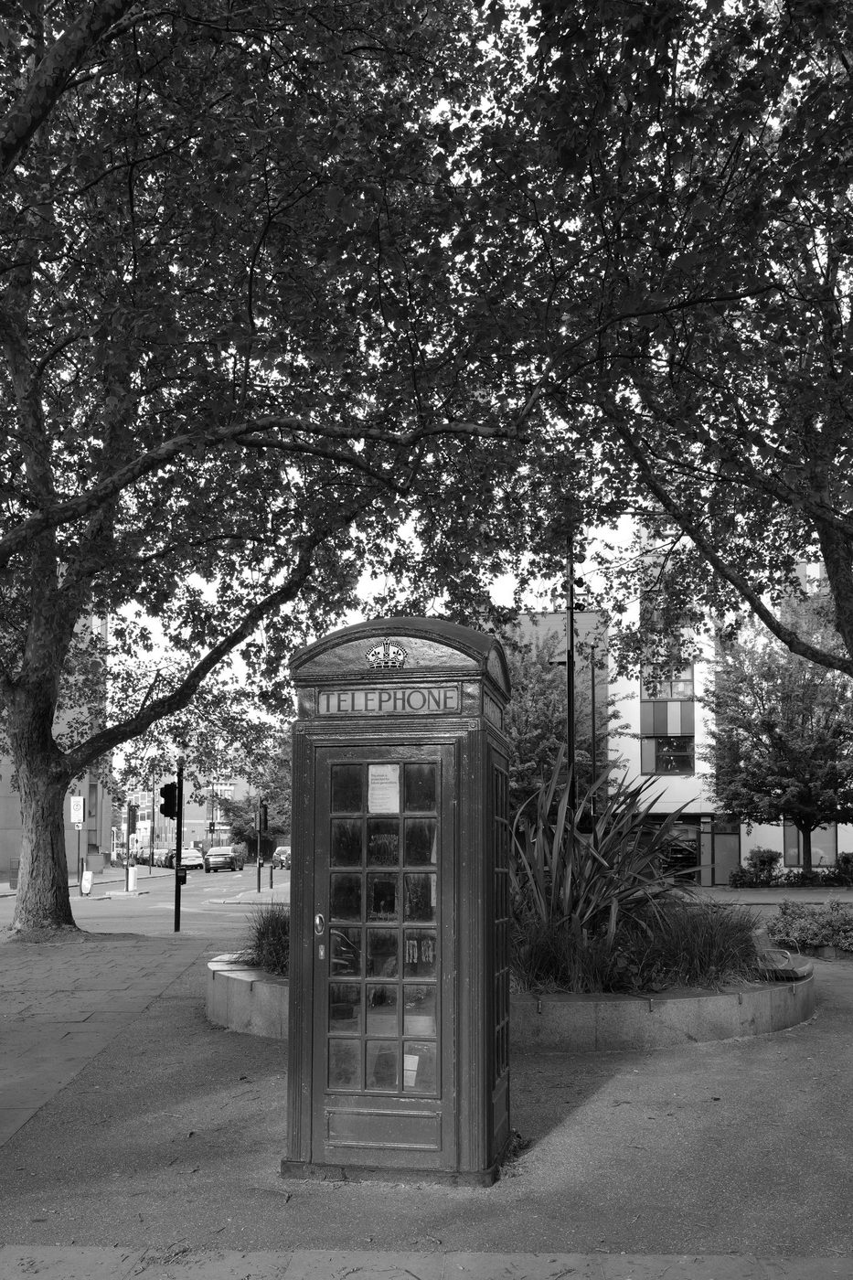 Red phone box standing alone under the dense foliage of a plane tree, London