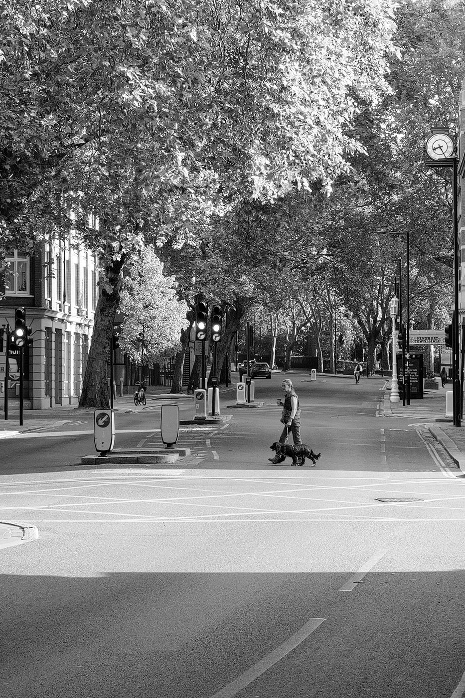Woman walking across a wide shaded crossroads with two dogs on a leash, London